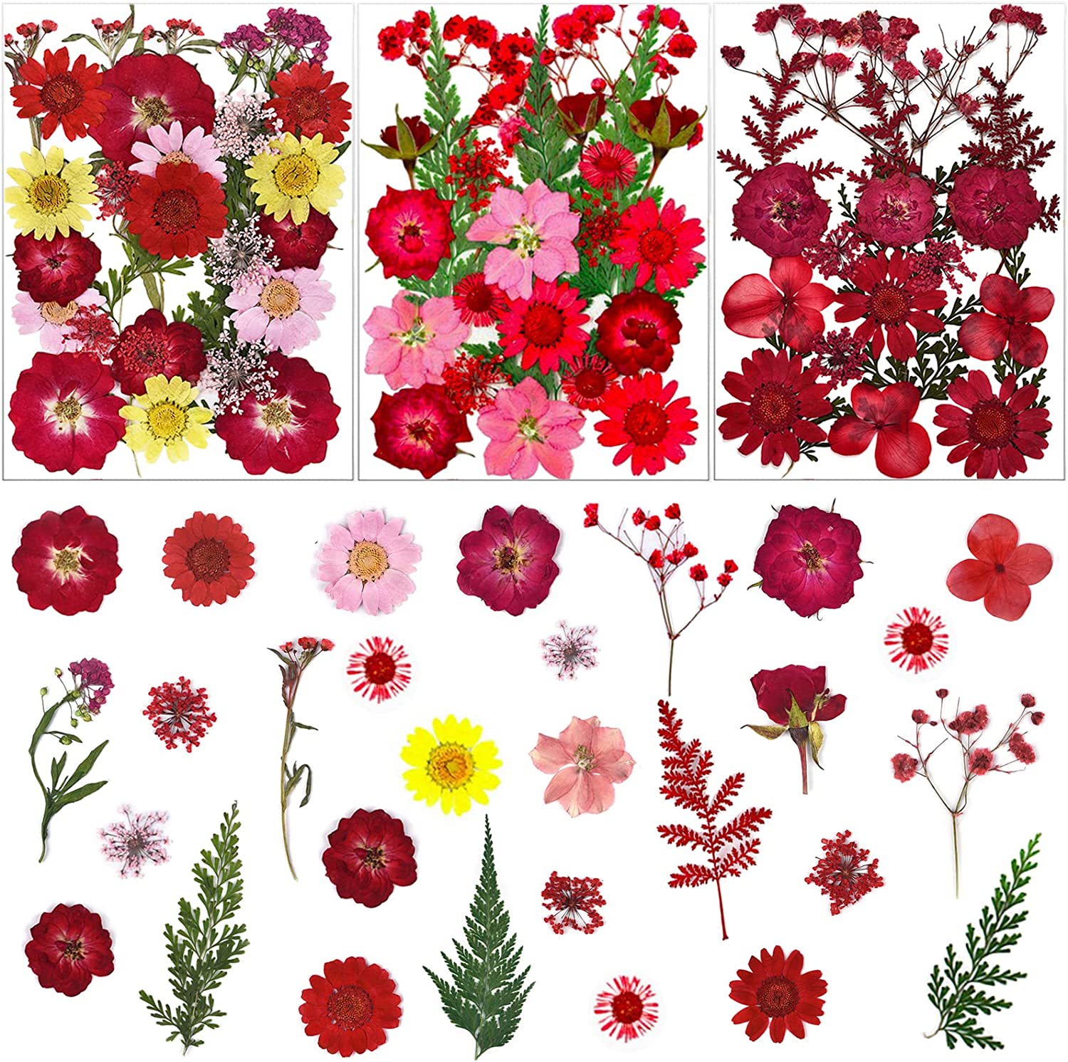 dried_flower - preserved_flower - fake_flower - Pressed Dried Flowers for Resin Molds Real Natural Floral Leave for DIY Crafts - Molly Garden - Molly_Garden_Floral