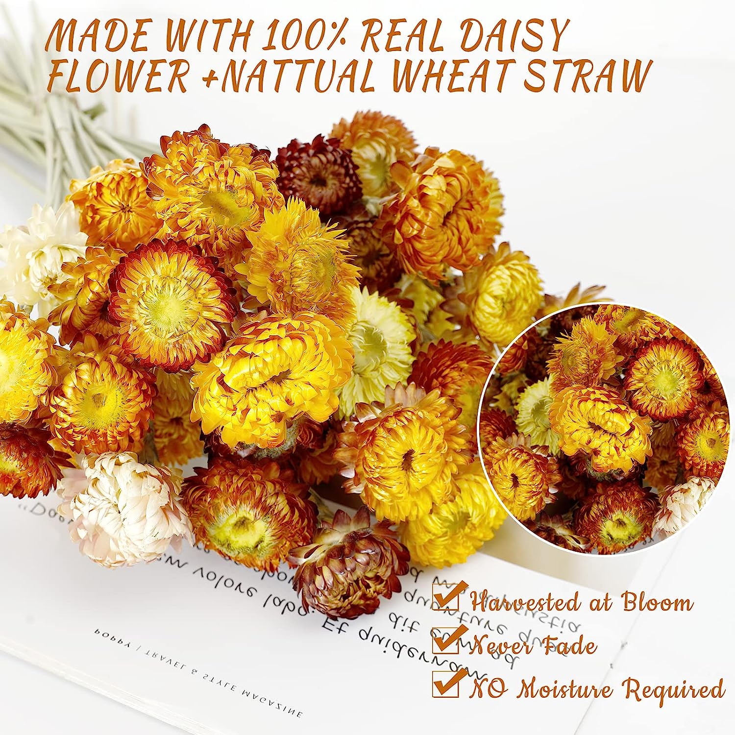 dried_flower - preserved_flower - fake_flower - 40Pcs Dried Flower Daisy Bouquet 100% Natural Chrysanthemum Dry Floral - Molly Garden - Molly_Garden_Floral