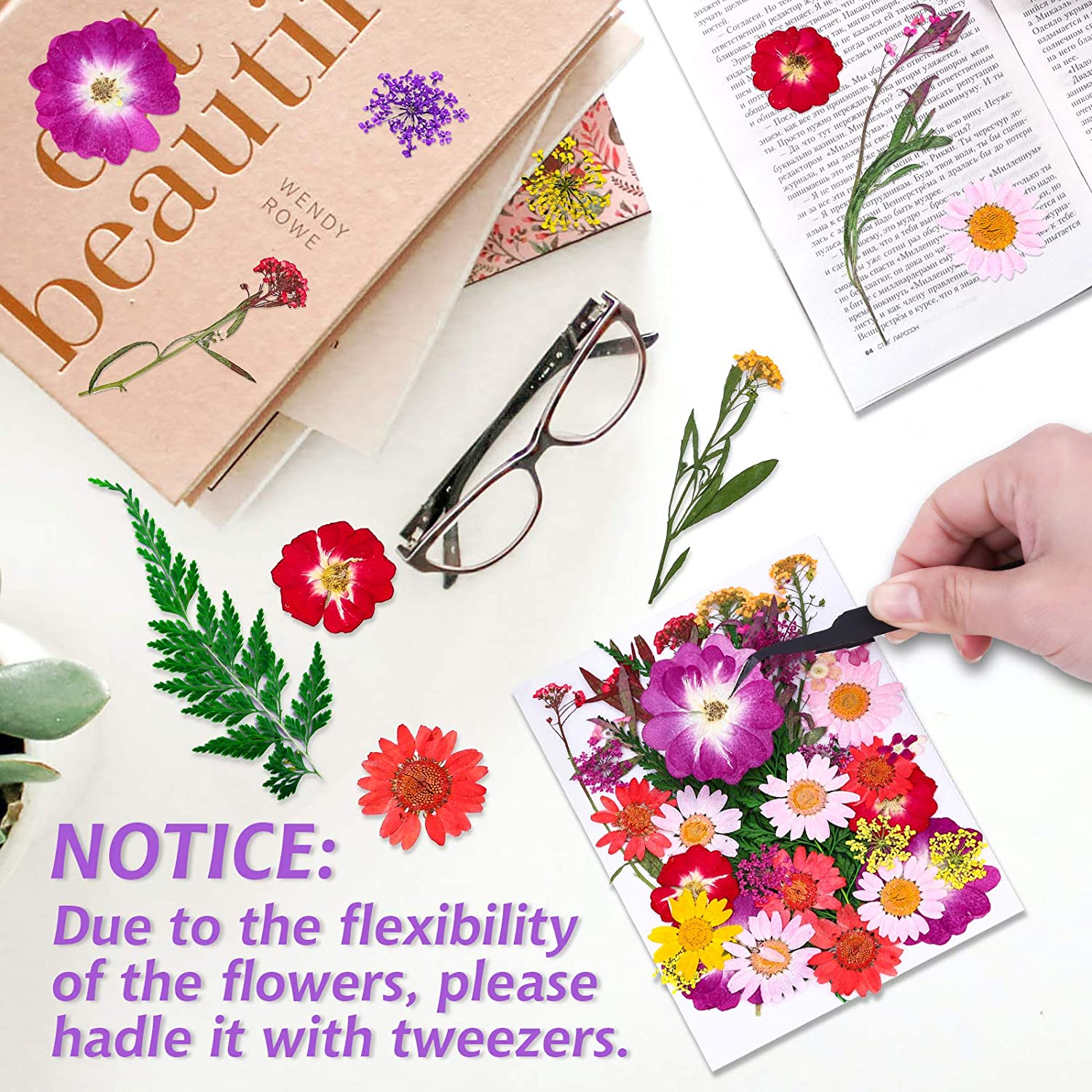 dried_flower - preserved_flower - fake_flower - 120Pcs Dried Flowers for Resin Molds Natural Pressed Leaves Herbs kit with Tweezers - Molly Garden - Molly_Garden_Floral