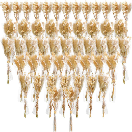 dried_flower - preserved_flower - fake_flower - 50Pcs Mini Dried Babys Breath Flowers Gypsophila Bouquets Natural Branches - Molly Garden - Molly_Garden_Floral