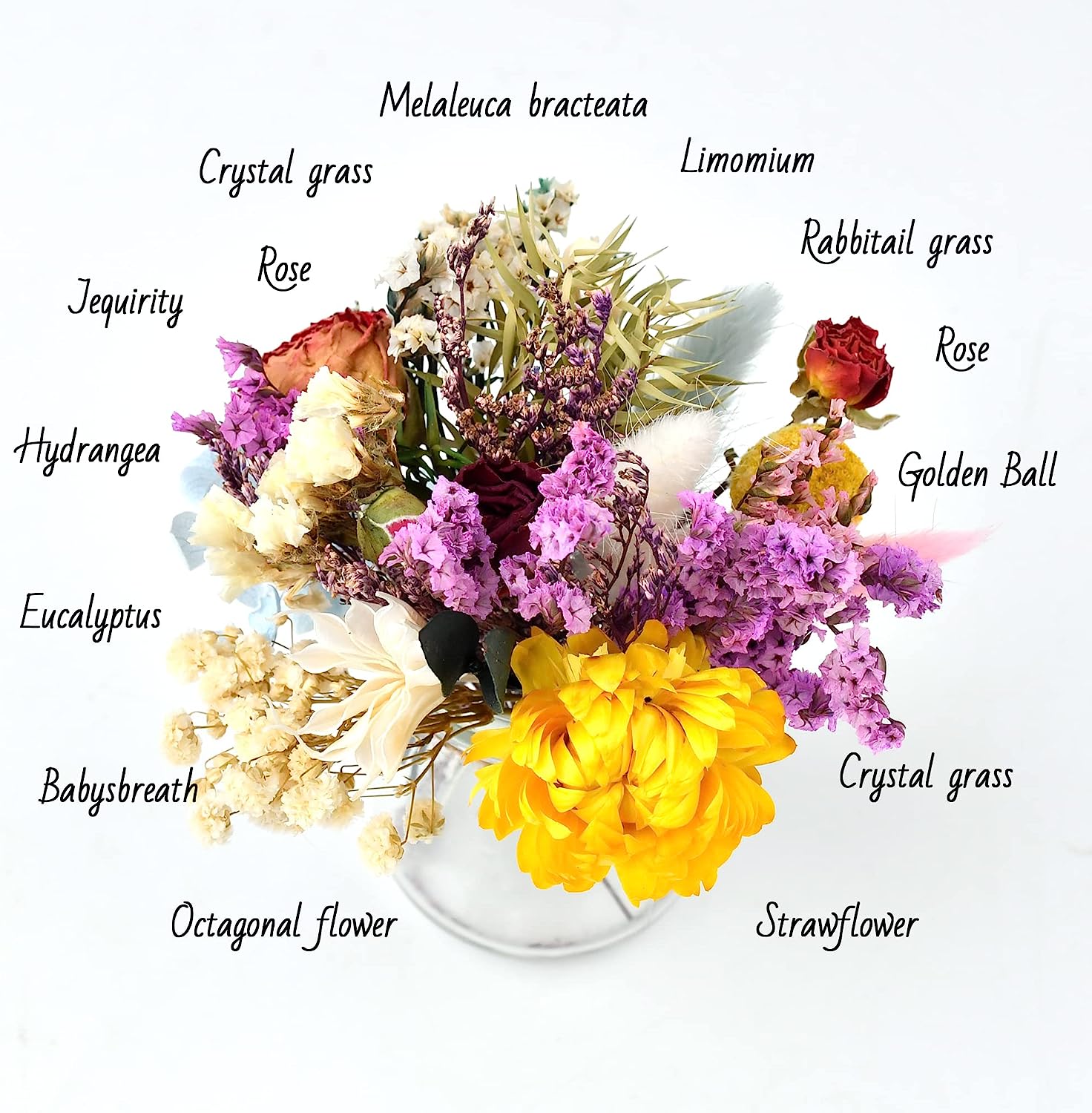 dried_flower - preserved_flower - fake_flower - 13Pcs Mini Dried Flower Bouquet Natural Forget Me Myosotis Sylvatica Babysbreath - Molly Garden - Molly_Garden_Floral