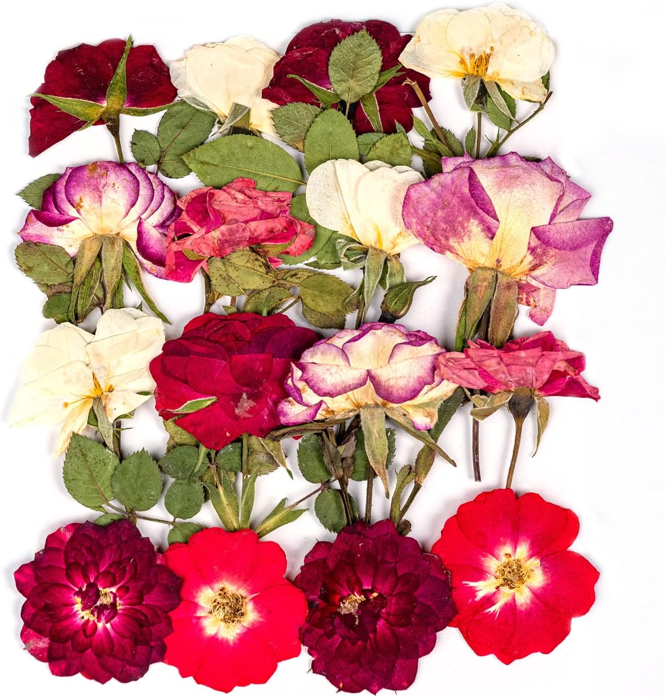 dried_flower - preserved_flower - fake_flower - 35+Pcs Flowers for Resin Model Real Pressed Dry Leaves Bulk Natural Herbs Kit - Molly Garden - Molly_Garden_Floral
