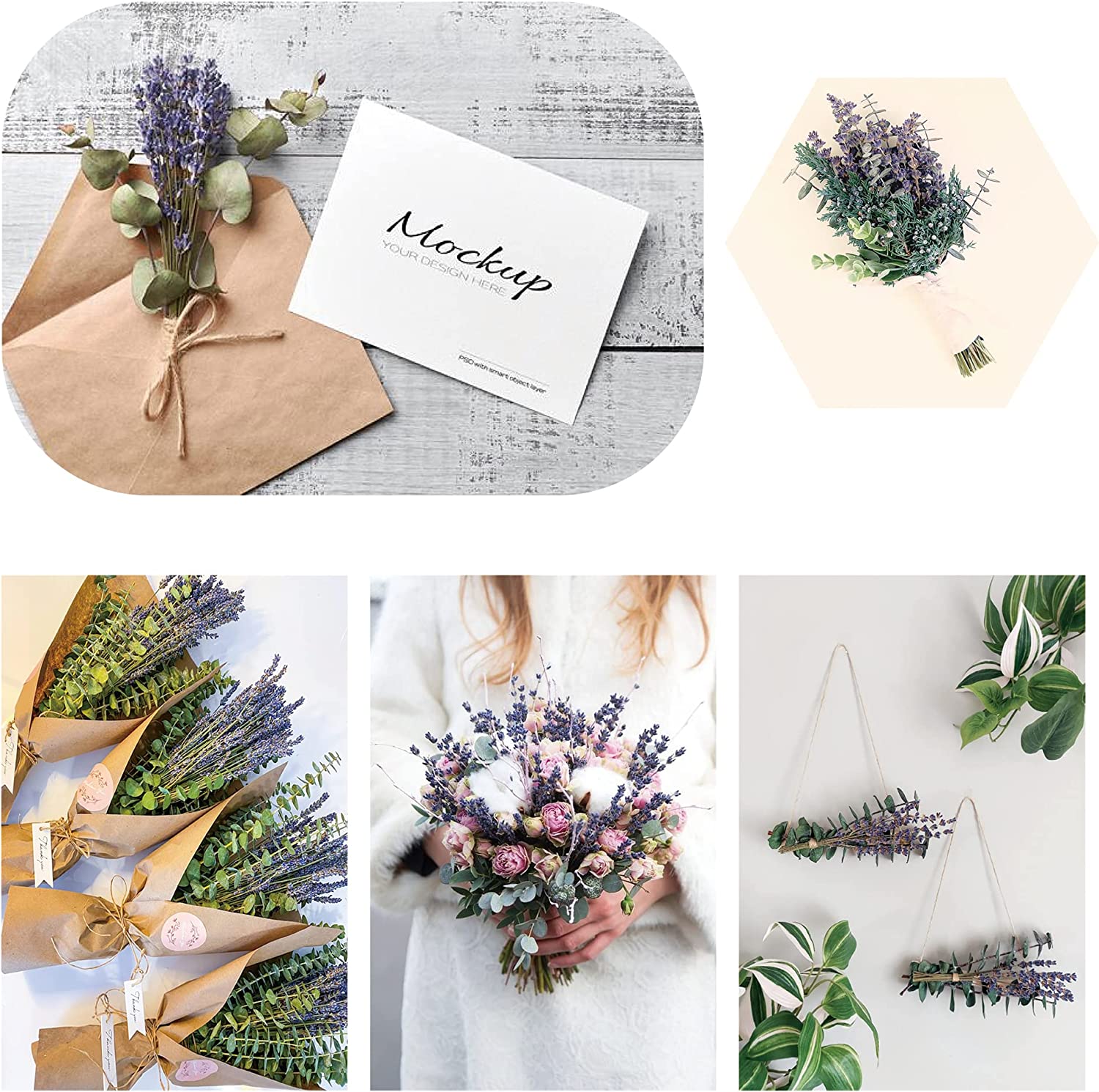 dried_flower - preserved_flower - fake_flower - 70Pcs Preserved Real Eucalyptus Stems Dried Lavender Bundles for Shower - Molly Garden - Molly_Garden_Floral