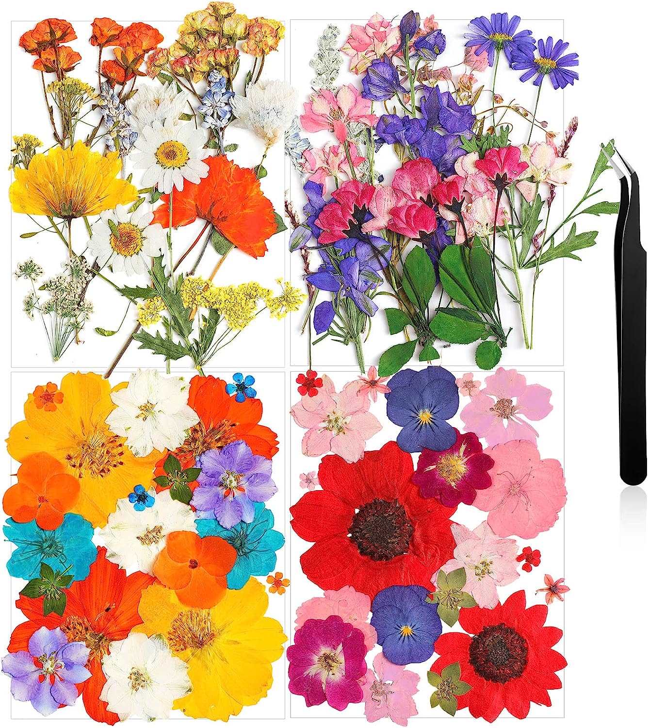 dried_flower - preserved_flower - fake_flower - Pressed Flowers Resin for Resin Mold Real Natural Daisy Dried Leaves - Molly Garden - Molly_Garden_Floral