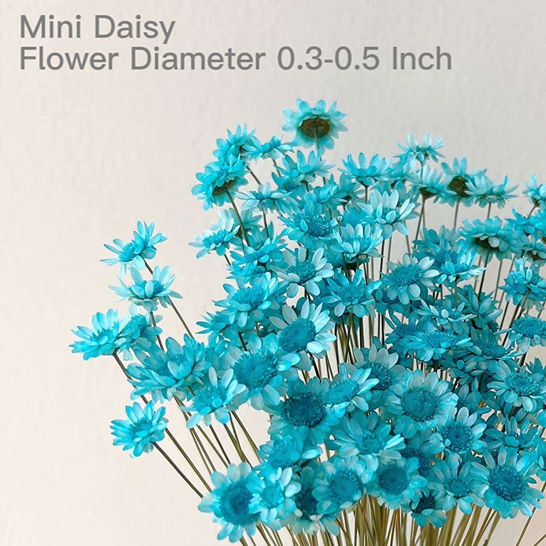dried_flower - preserved_flower - fake_flower - 200Stems Brazilian Small Star Daisy Dried Flowers Mini Chamomile Bouquet - Molly Garden - Molly_Garden_Floral