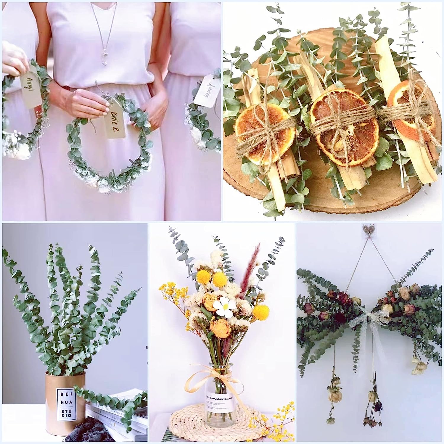 dried_flower - preserved_flower - fake_flower - 14Pcs Dried Eucalyptus Plant Stems for Shower 100% Natural Leaves 17" Branches - Molly Garden - Molly_Garden_Floral