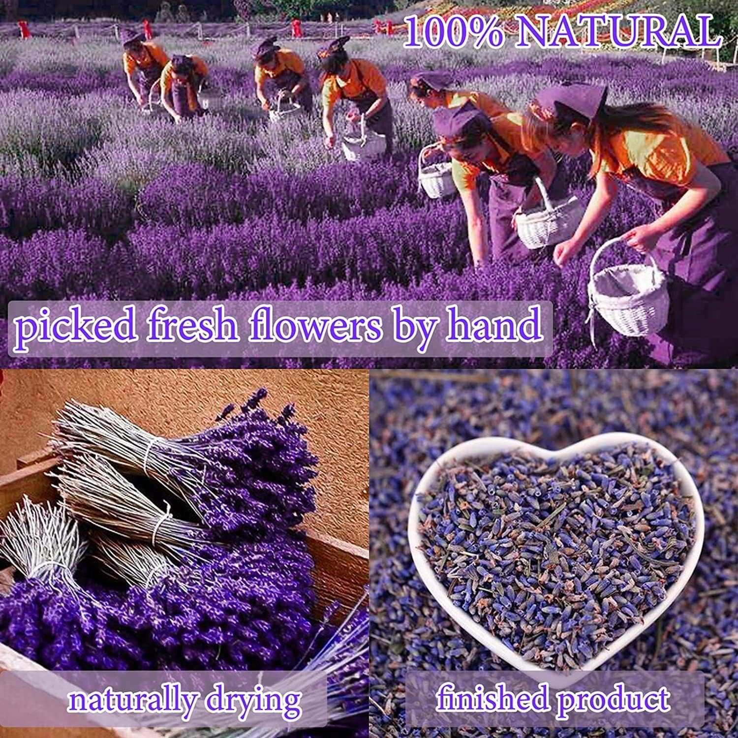dried_flower - preserved_flower - fake_flower - 20Bags Dried Flowers 100% Natural Herbs Petals Kit for Bath Shower - Molly Garden - Molly_Garden_Floral