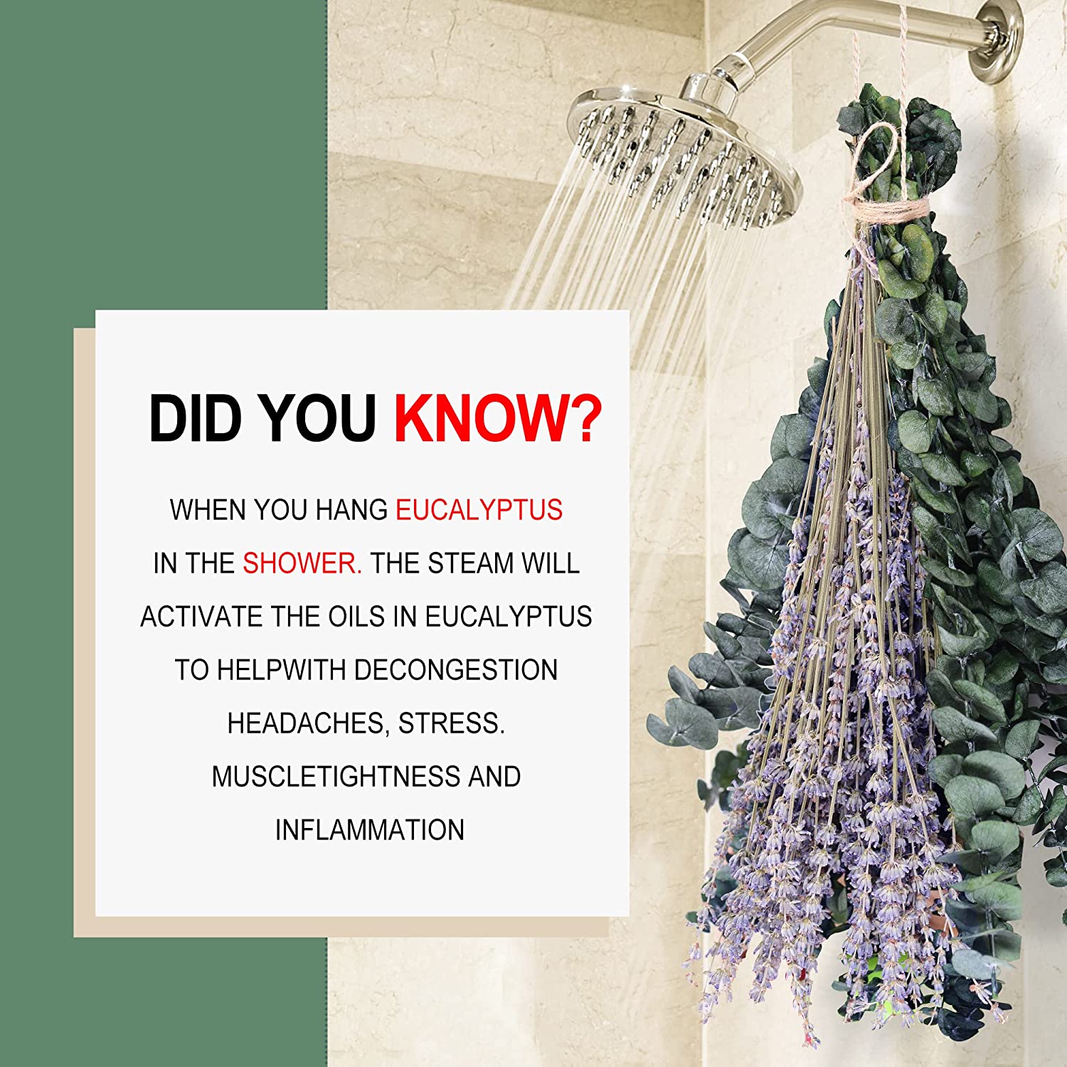 dried_flower - preserved_flower - fake_flower - 70Pcs Preserved Real Eucalyptus Stems Dried Lavender Bundles for Shower - Molly Garden - Molly_Garden_Floral