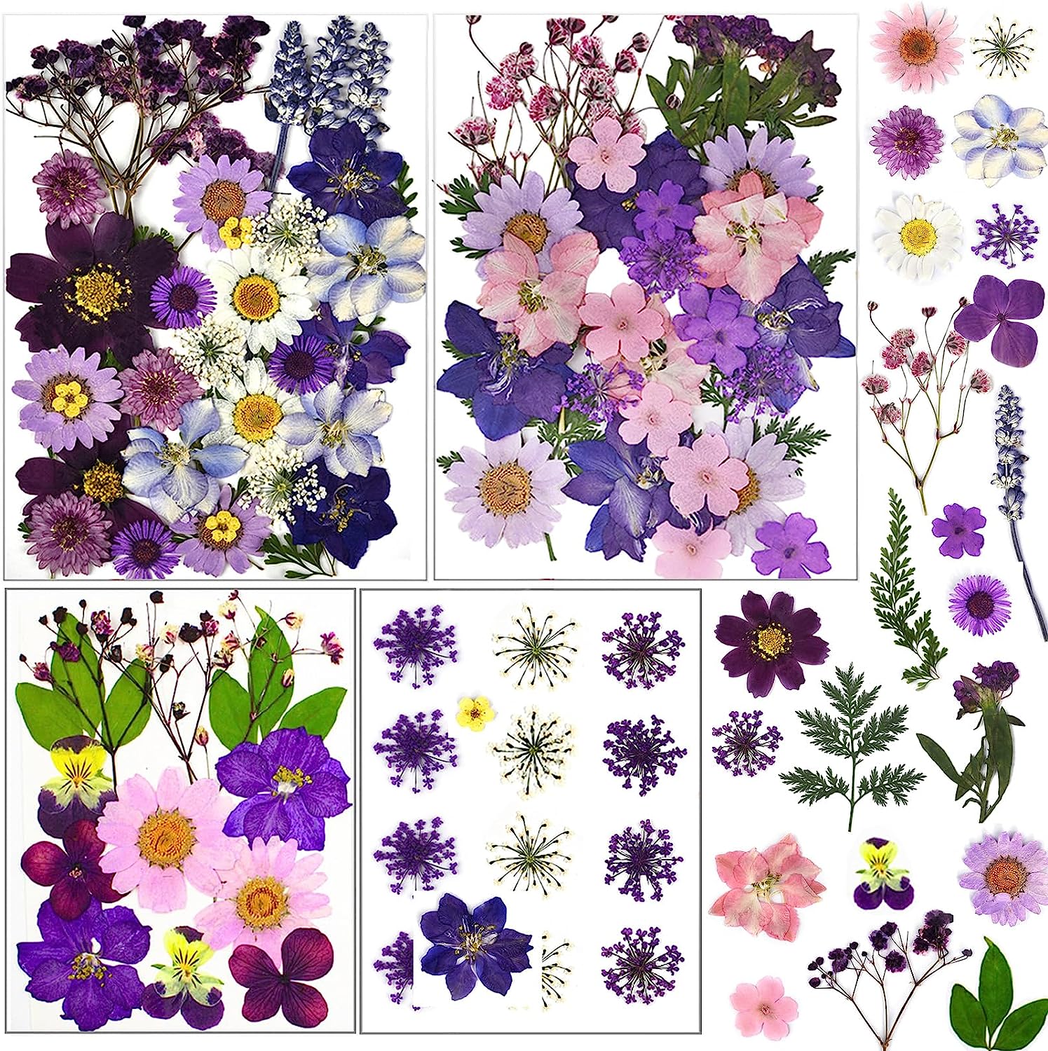 dried_flower - preserved_flower - fake_flower - Pressed Dried Flowers for Resin Molds Real Natural Floral Leave for DIY Crafts - Molly Garden - Molly_Garden_Floral