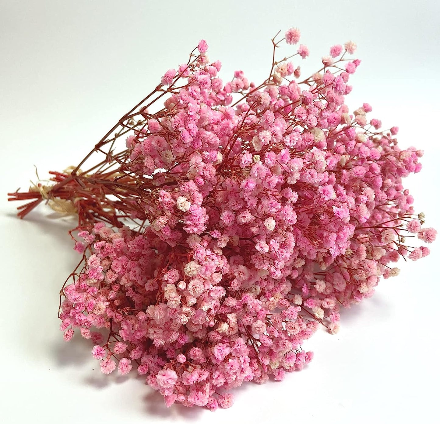 dried_flower - preserved_flower - fake_flower - 3Bunches Preserved Babys Breath 100% Natrual Fresh Gypsophila Long Lasting Flowers - Molly Garden - Molly_Garden_Floral