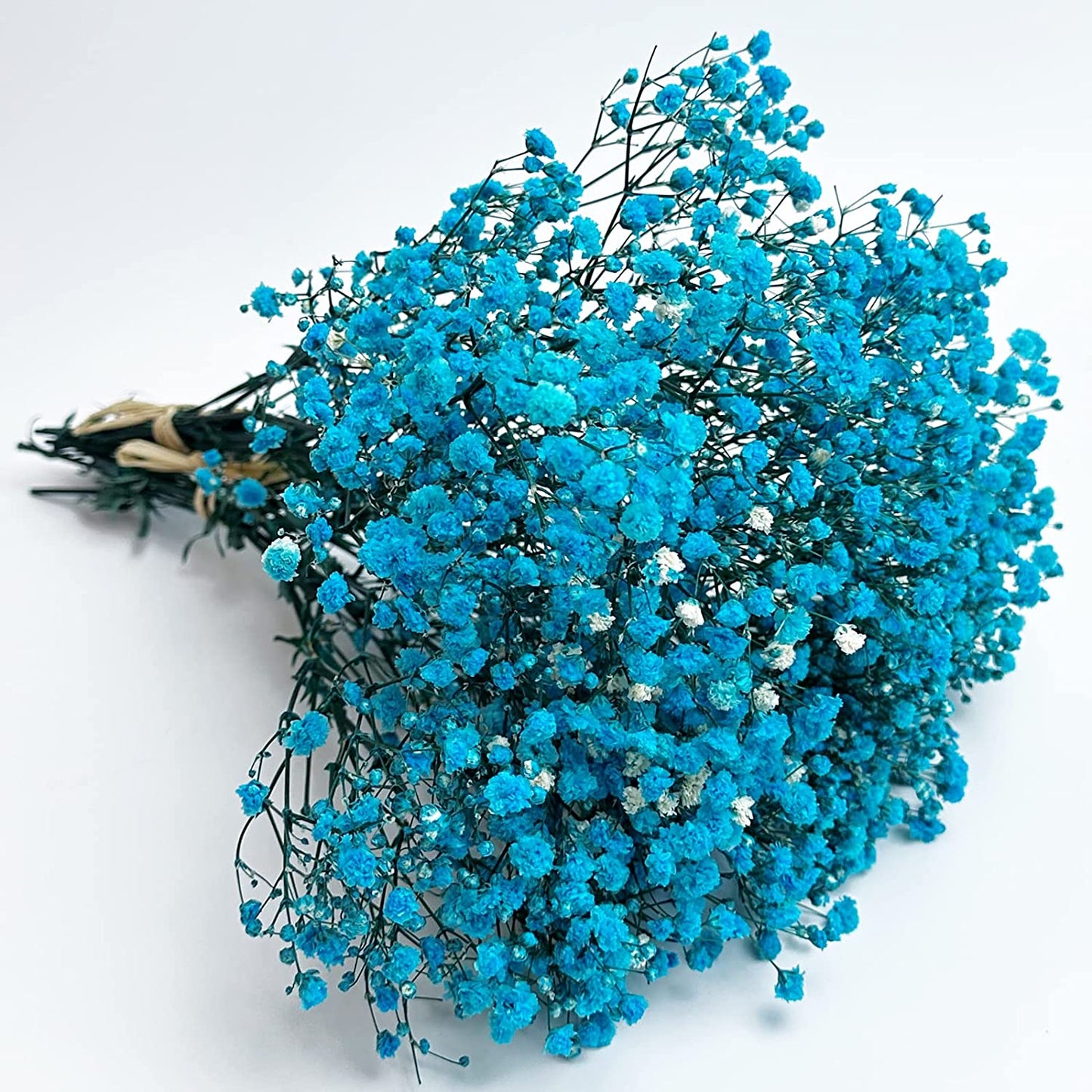 dried_flower - preserved_flower - fake_flower - 3Bunches Preserved Babys Breath 100% Natrual Fresh Gypsophila Long Lasting Flowers - Molly Garden - Molly_Garden_Floral