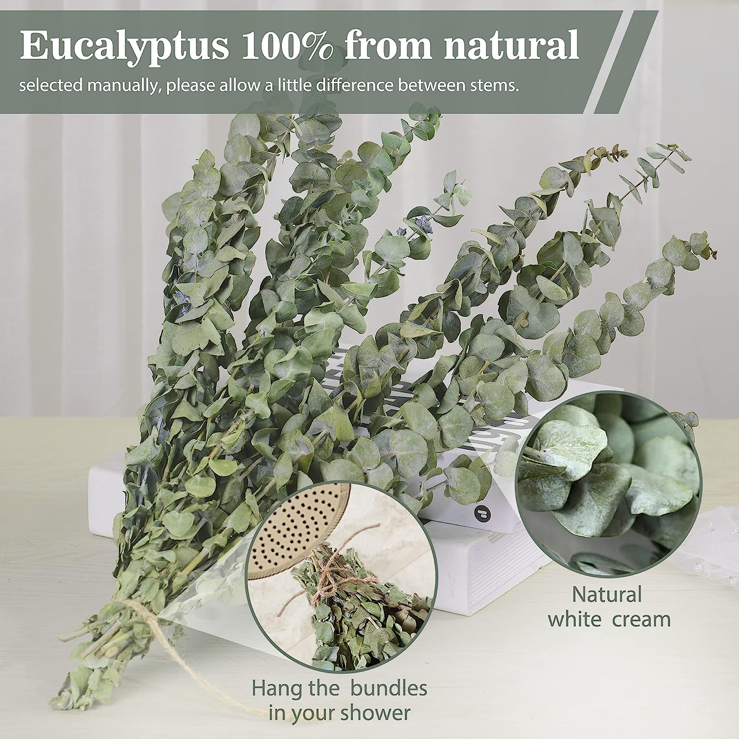 dried_flower - preserved_flower - fake_flower - 14Pcs Dried Eucalyptus Plant Stems for Shower 100% Natural Leaves 17" Branches - Molly Garden - Molly_Garden_Floral