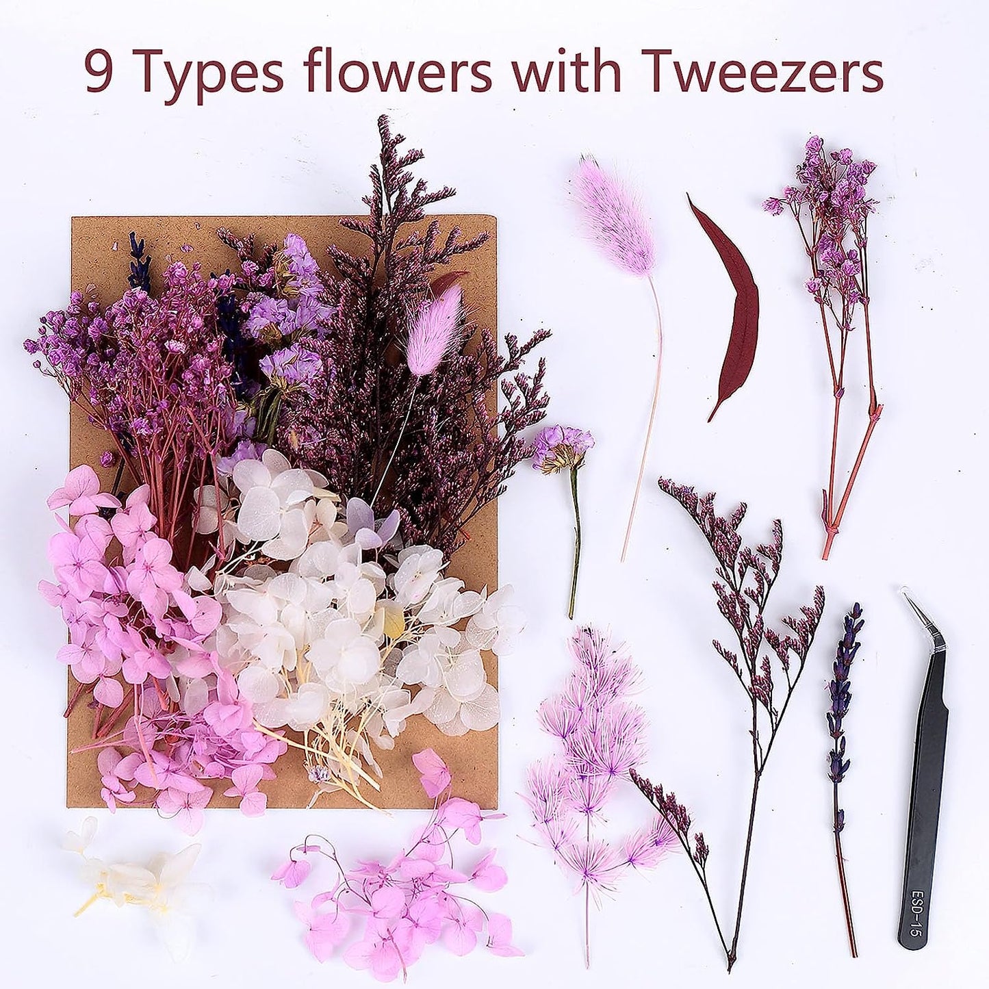 dried_flower - preserved_flower - fake_flower - Real Dried Leaf Flowers Plant Herbarium with Tweezers for Resin Molds Craft - Molly Garden - Molly_Garden_Floral