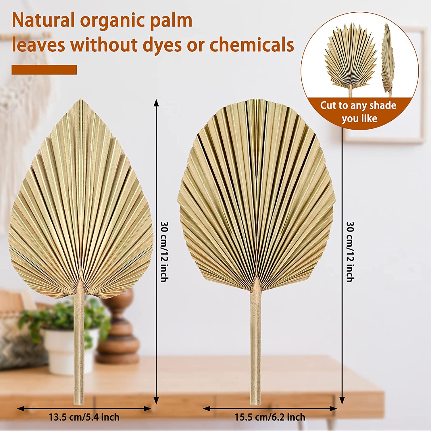 dried_flower - preserved_flower - fake_flower - Natural Dried Palm Leaves Real Plants Home Decor Boho Heart Oval Shape - Molly Garden - Molly_Garden_Floral