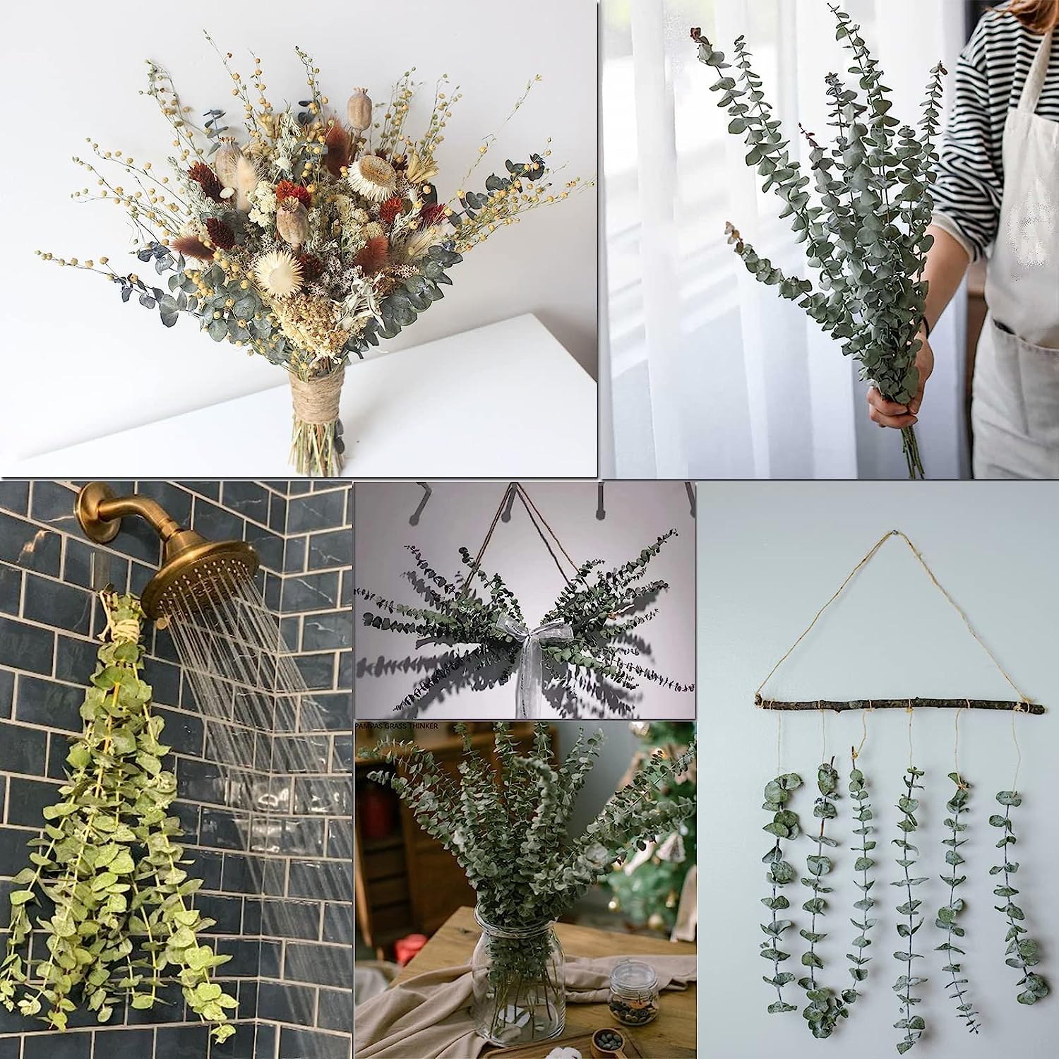 dried_flower - preserved_flower - fake_flower - 16Pcs Dried Eucalyptus Plant Stems 100% Natural Branches Leaves for Shower - Molly Garden - Molly_Garden_Floral