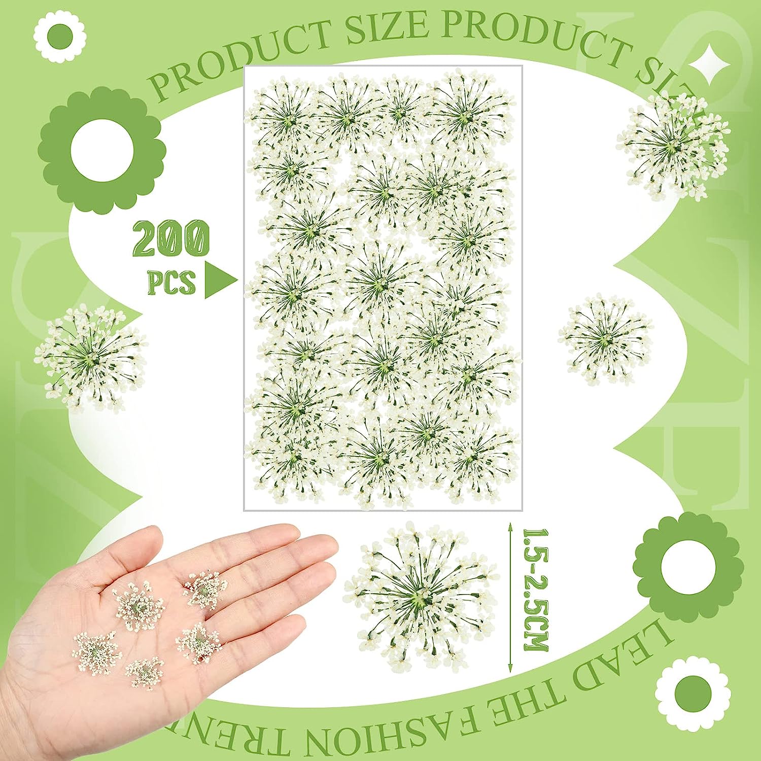 dried_flower - preserved_flower - fake_flower - 200Pcs Pressed Dried Flowers for Resin Art Dry Floral for Crafts DIY - Molly Garden - Molly_Garden_Floral