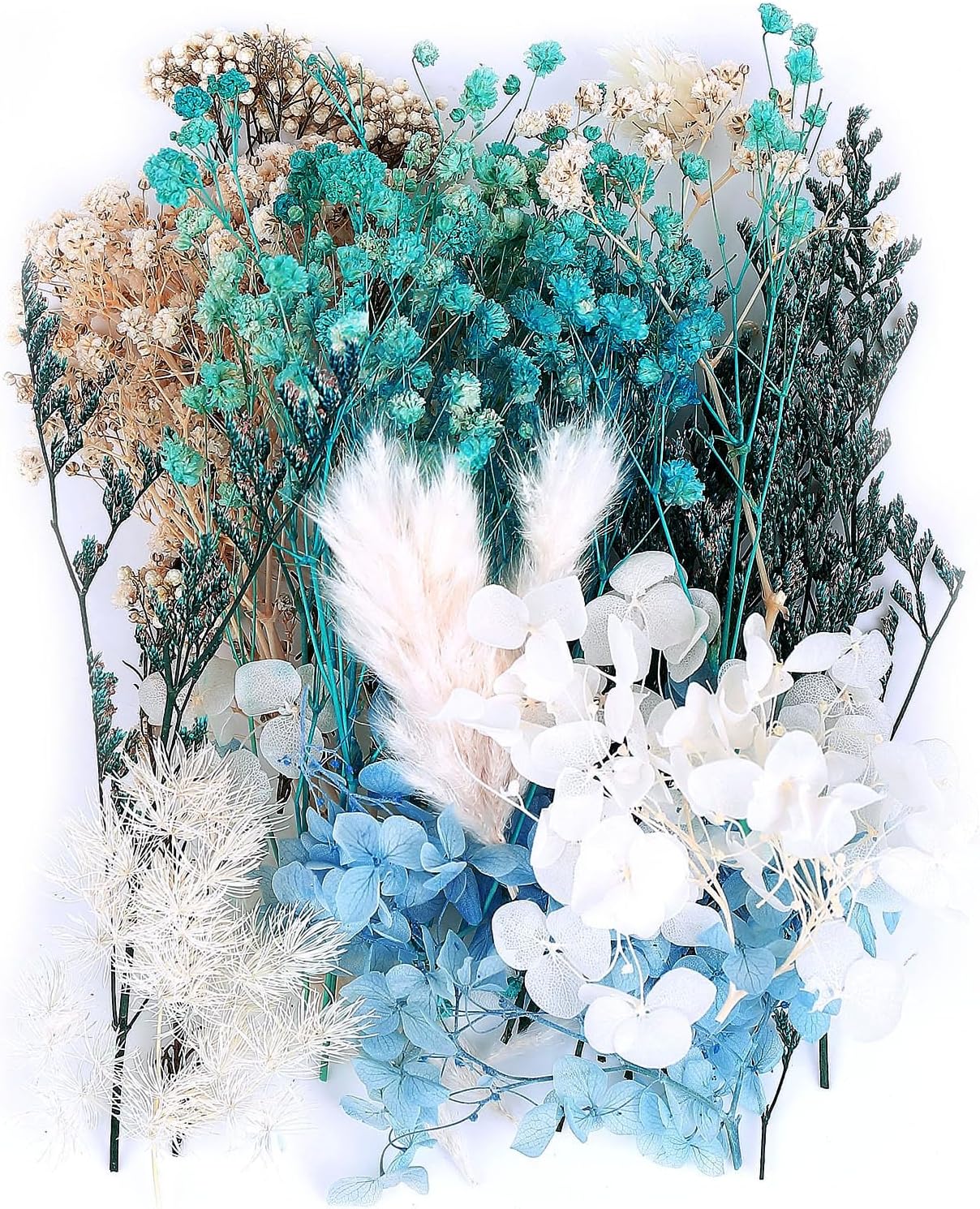 dried_flower - preserved_flower - fake_flower - Real Dried Leaf Flowers Plant Herbarium with Tweezers for Resin Molds Craft - Molly Garden - Molly_Garden_Floral