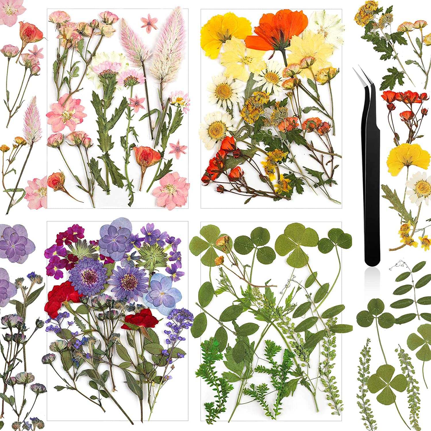 dried_flower - preserved_flower - fake_flower - Pressed Flowers Resin for Resin Mold Real Natural Daisy Dried Leaves - Molly Garden - Molly_Garden_Floral