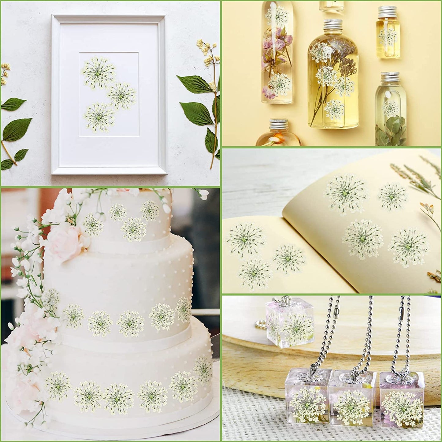 dried_flower - preserved_flower - fake_flower - 200Pcs Pressed Dried Flowers for Resin Art Dry Floral for Crafts DIY - Molly Garden - Molly_Garden_Floral