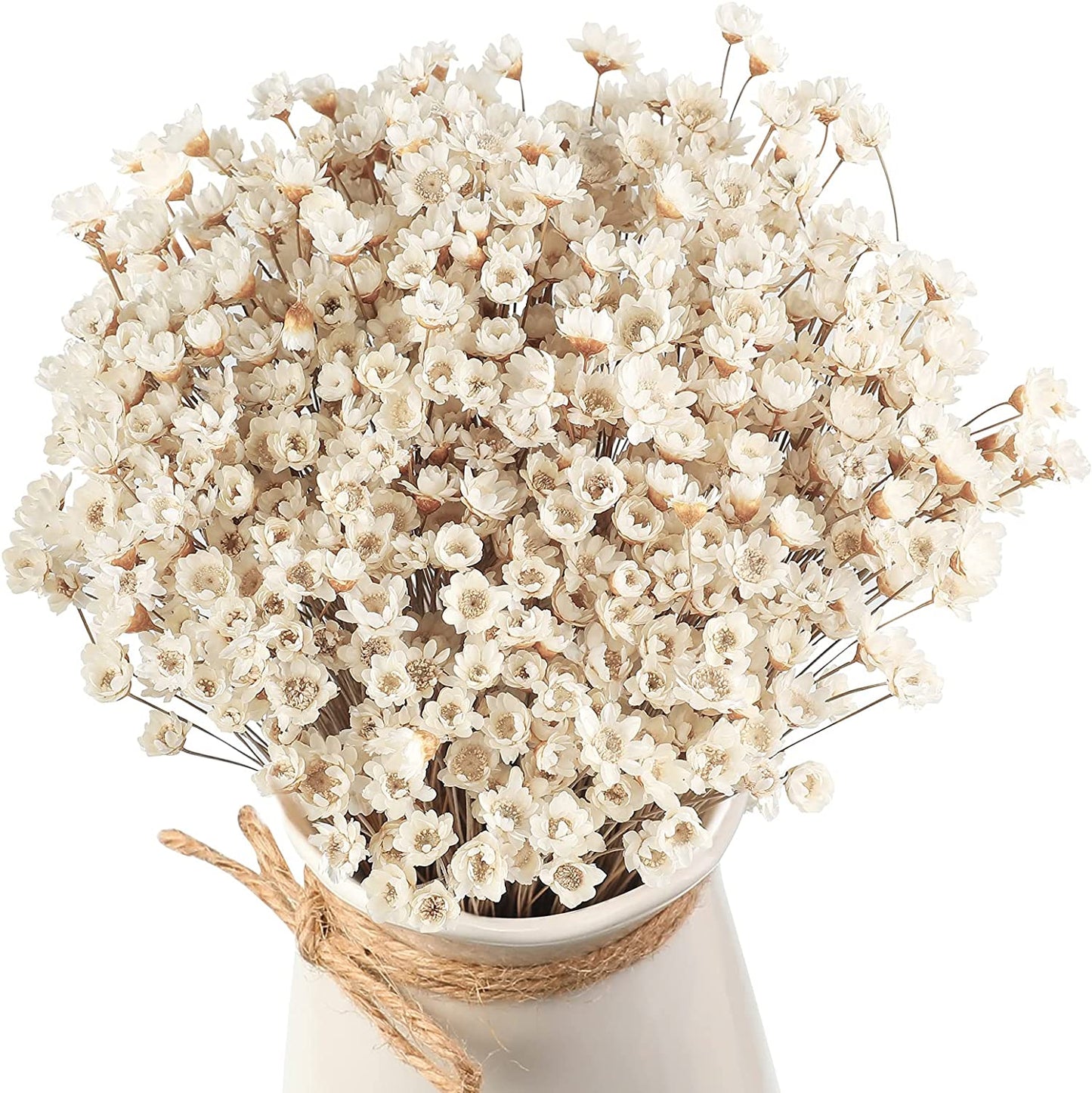 dried_flower - preserved_flower - fake_flower - 200Pcs Natural Dry Flowers Brazilian Small Star Daisy Dried Mini Chamomile Bouquet - Molly Garden - Molly_Garden_Floral