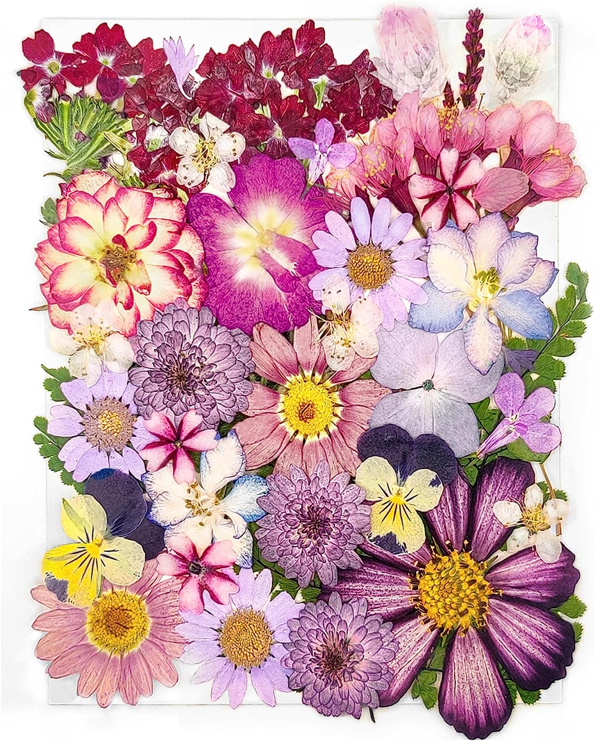 dried_flower - preserved_flower - fake_flower - 37Pcs 18Types Dried Pressed Flowers for Resin Molds YouthBro Real Natural - Molly Garden - Molly_Garden_Floral