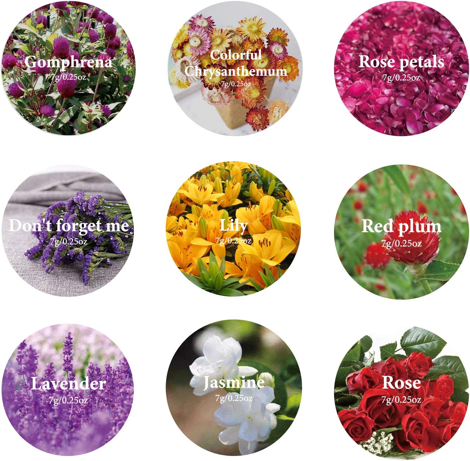 dried_flower - preserved_flower - fake_flower - 9Bags Dried Flowers 100% Natural Dried Flowers Herbs Kit for Soap Making - Molly Garden - Molly_Garden_Floral