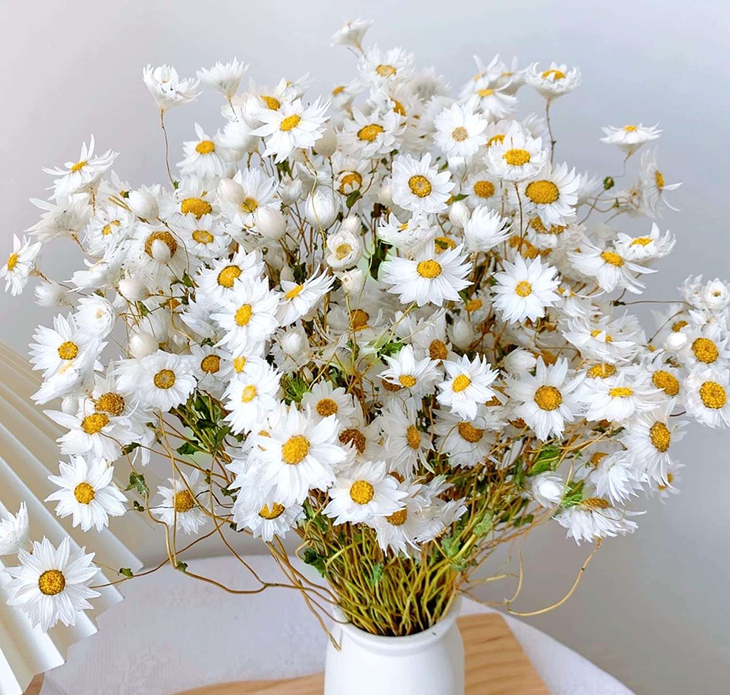 dried_flower - preserved_flower - fake_flower - 250+Real Chrysanthemum Rhodanthe Daisies 17'' Gerber Dried Daisy White Flowers - Molly Garden - Molly_Garden_Floral