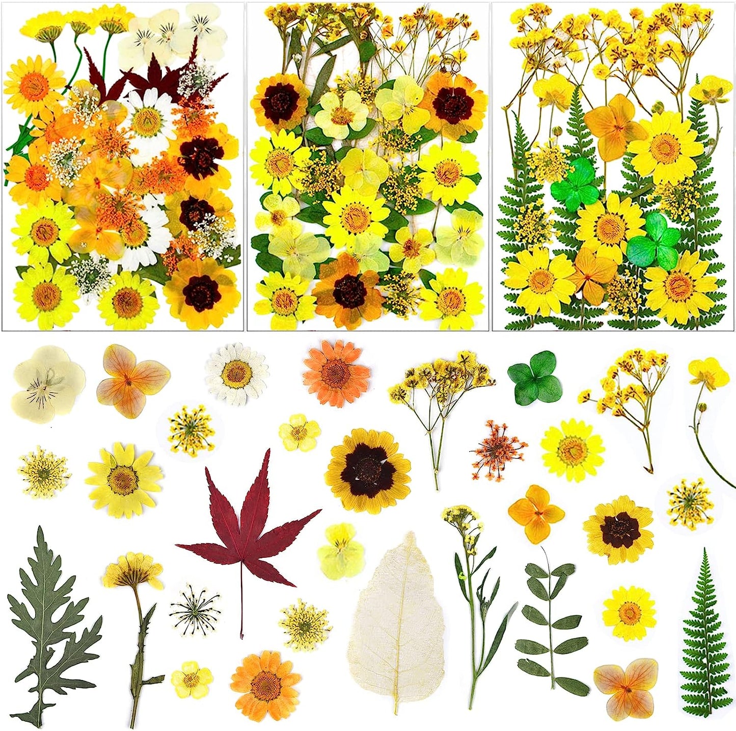 dried_flower - preserved_flower - fake_flower - Pressed Dried Flowers for Resin Molds Real Natural Floral Leave for DIY Crafts - Molly Garden - Molly_Garden_Floral