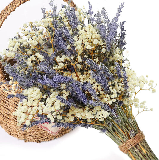dried_flower - preserved_flower - fake_flower - Dried Lavender Flowers & Gypsophila Baby's Breath Bundles 100% Natural Bouquet - Molly Garden - Molly_Garden_Floral