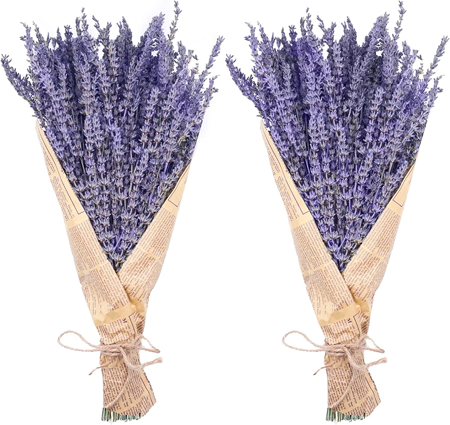 dried_flower - preserved_flower - fake_flower - 280-300Stems 16“ Dried Lavender Bundles Natural Flowers Arrangements for Home - Molly Garden - Molly_Garden_Floral