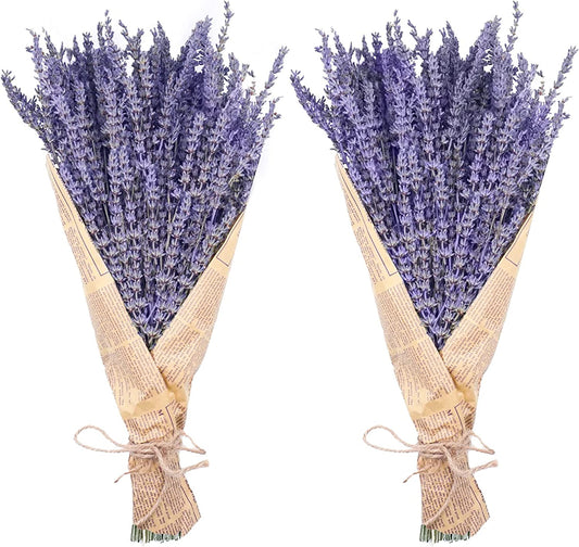 dried_flower - preserved_flower - fake_flower - 280-300Stems 16“ Dried Lavender Bundles Natural Flowers Arrangements for Home - Molly Garden - Molly_Garden_Floral