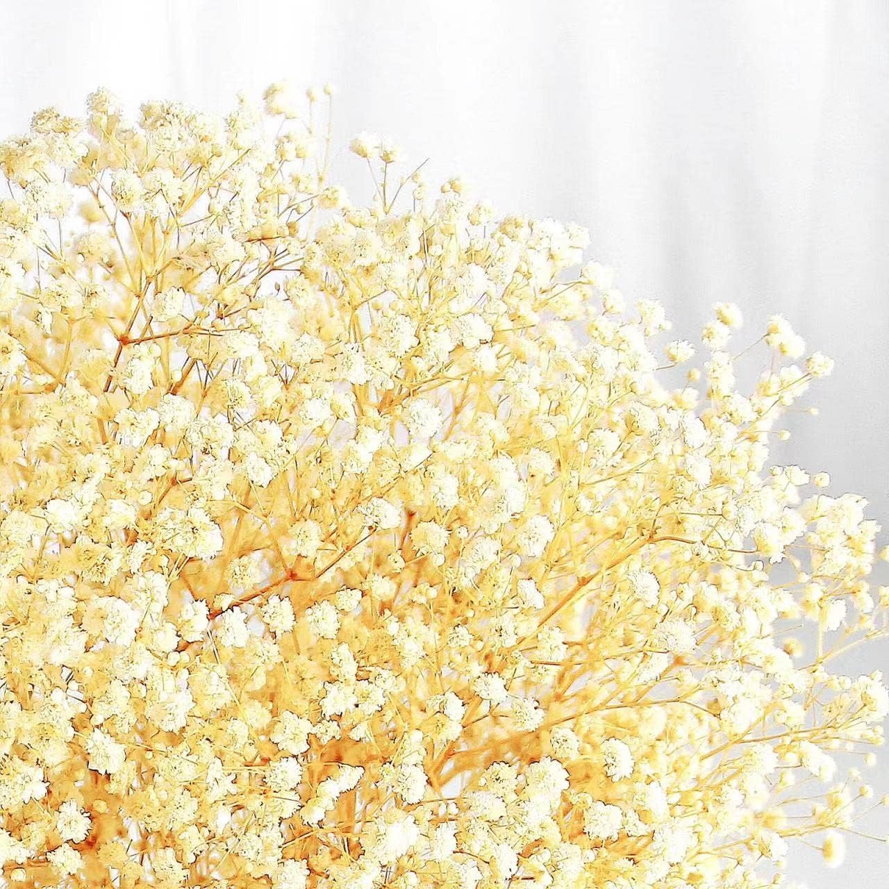 dried_flower - preserved_flower - fake_flower - 3000+Head Ivory White Babys Breath Flower Bouquet with Dry Floral - Molly Garden - Molly_Garden_Floral
