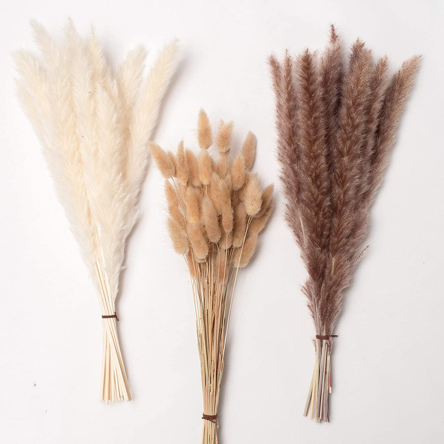 dried_flower - preserved_flower - fake_flower - 90Pcs White Pampas and Natural Dried Grass Natural Rabbit Tail Grass - Molly Garden - Molly_Garden_Floral
