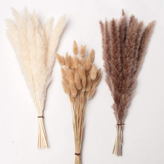 dried_flower - preserved_flower - fake_flower - 90Pcs White Pampas and Natural Dried Grass Natural Rabbit Tail Grass - Molly Garden - Molly_Garden_Floral