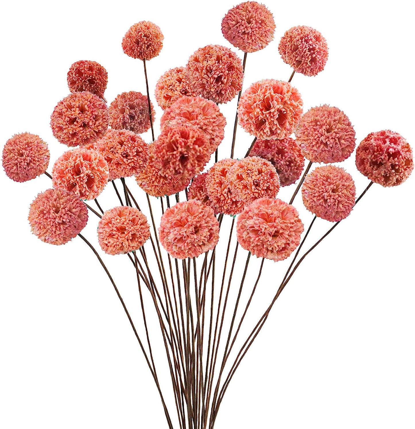 dried_flower - preserved_flower - fake_flower - 24Pcs Dried Craspedia Billy Balls Flowers 18” Natural Floral Arrangements - Molly Garden - Molly_Garden_Floral