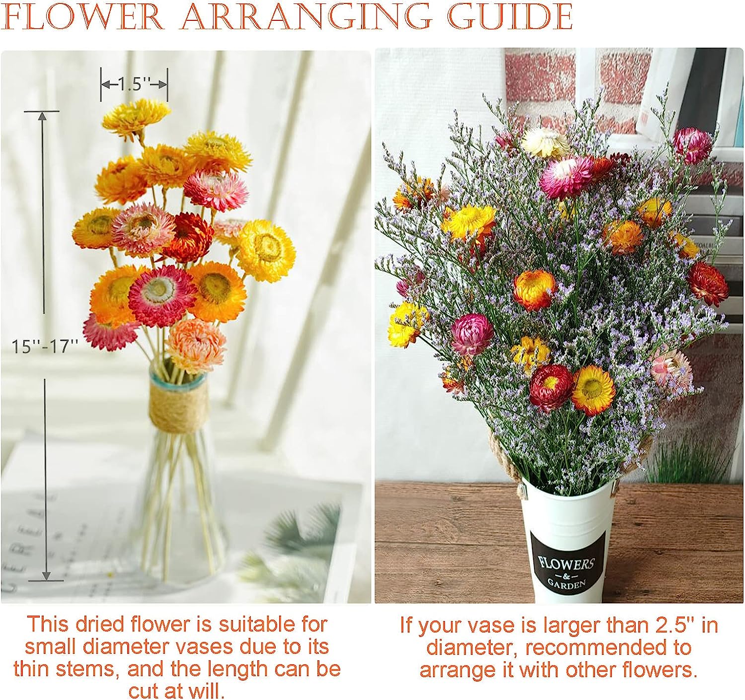 dried_flower - preserved_flower - fake_flower - 24Pcs Natural Dried Straw Flowers Daisy Multicolor Daisies Sunflowers Chrysanthemum - Molly Garden - Molly_Garden_Floral