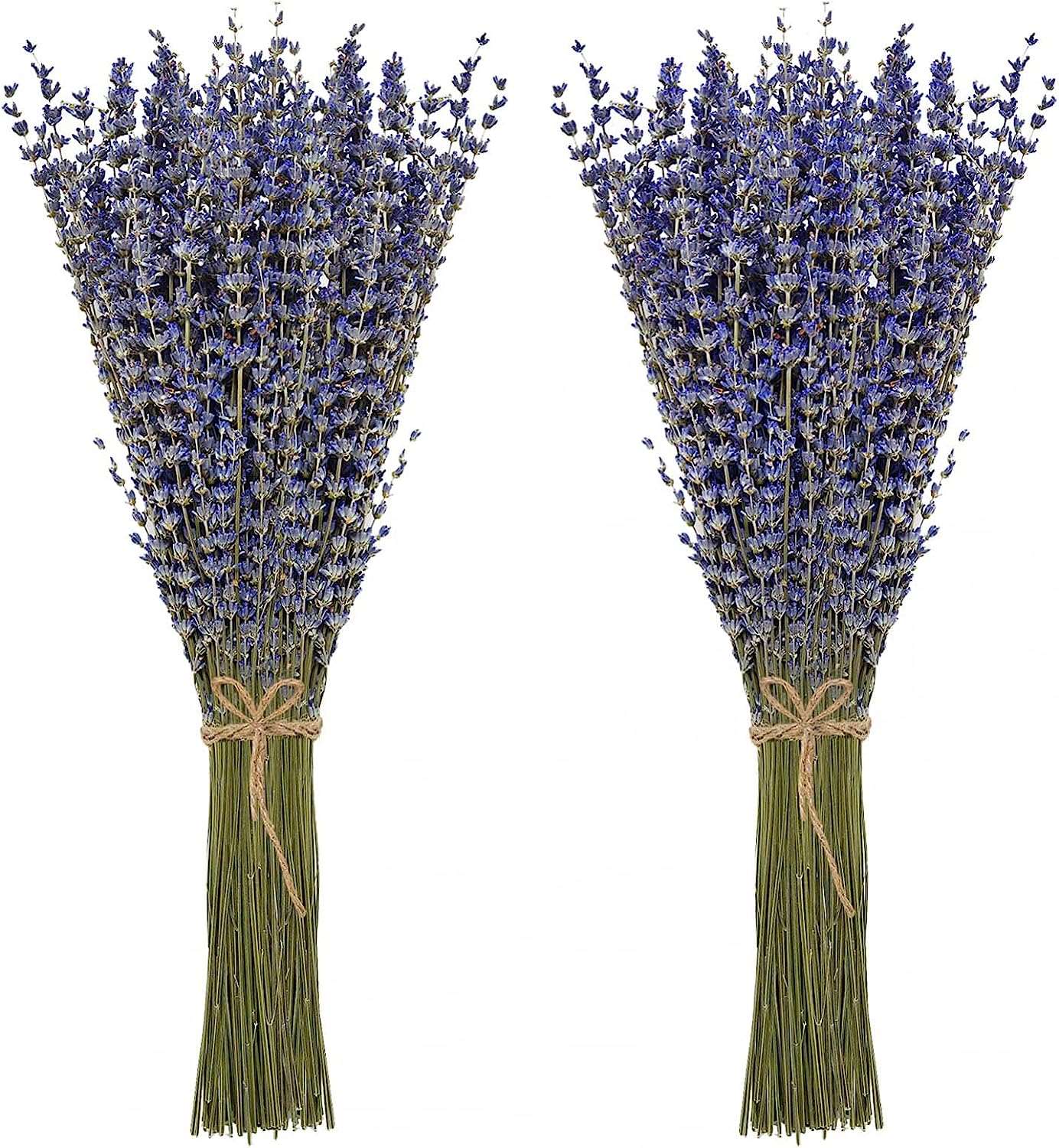 dried_flower - preserved_flower - fake_flower - 2Pack Bundles Dried Lavender Bundles Flowers 100% Natural for Home Decoration - Molly Garden - Molly_Garden_Floral