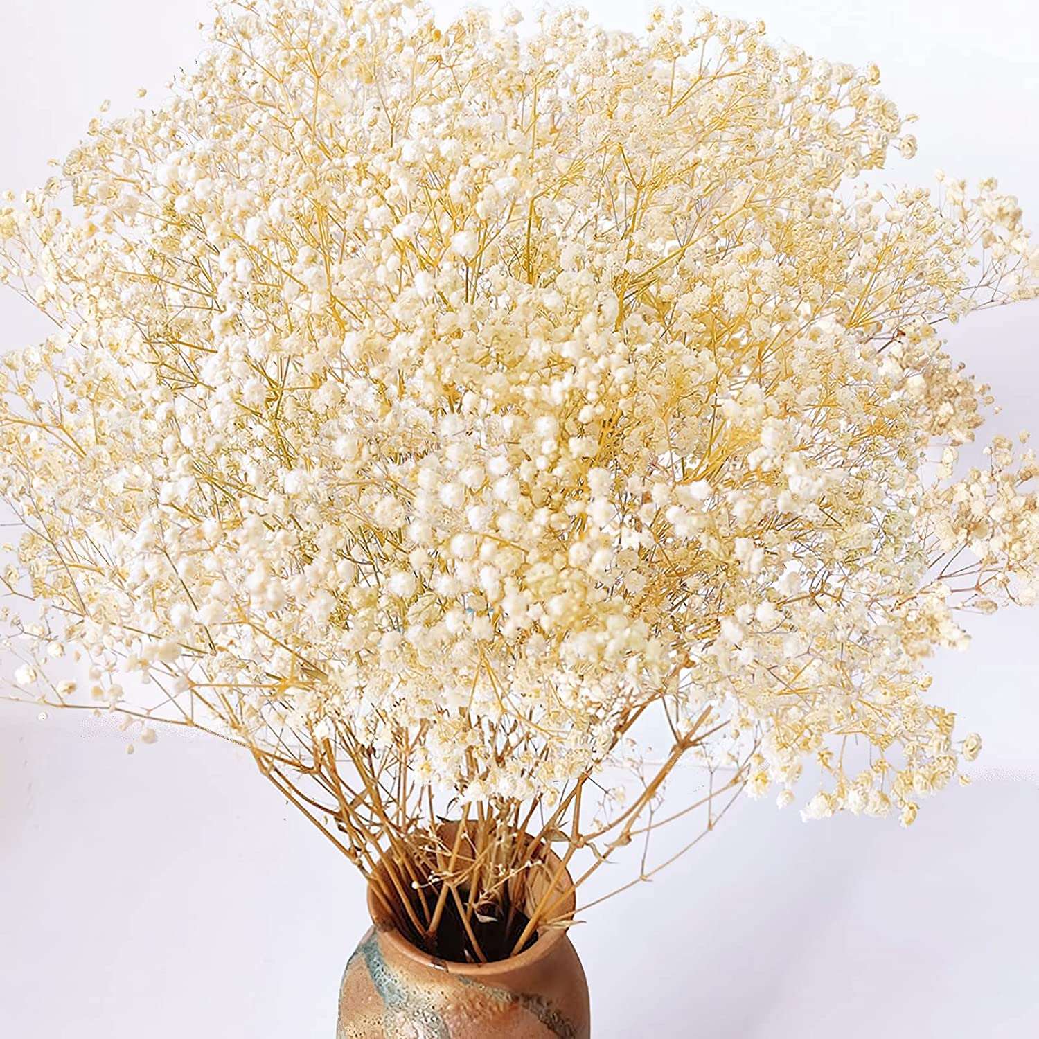 dried_flower - preserved_flower - fake_flower - 2500+Head Dried Babys Breath Flowers Bouquet 17.2inch Natural Gypsophila - Molly Garden - Molly_Garden_Floral