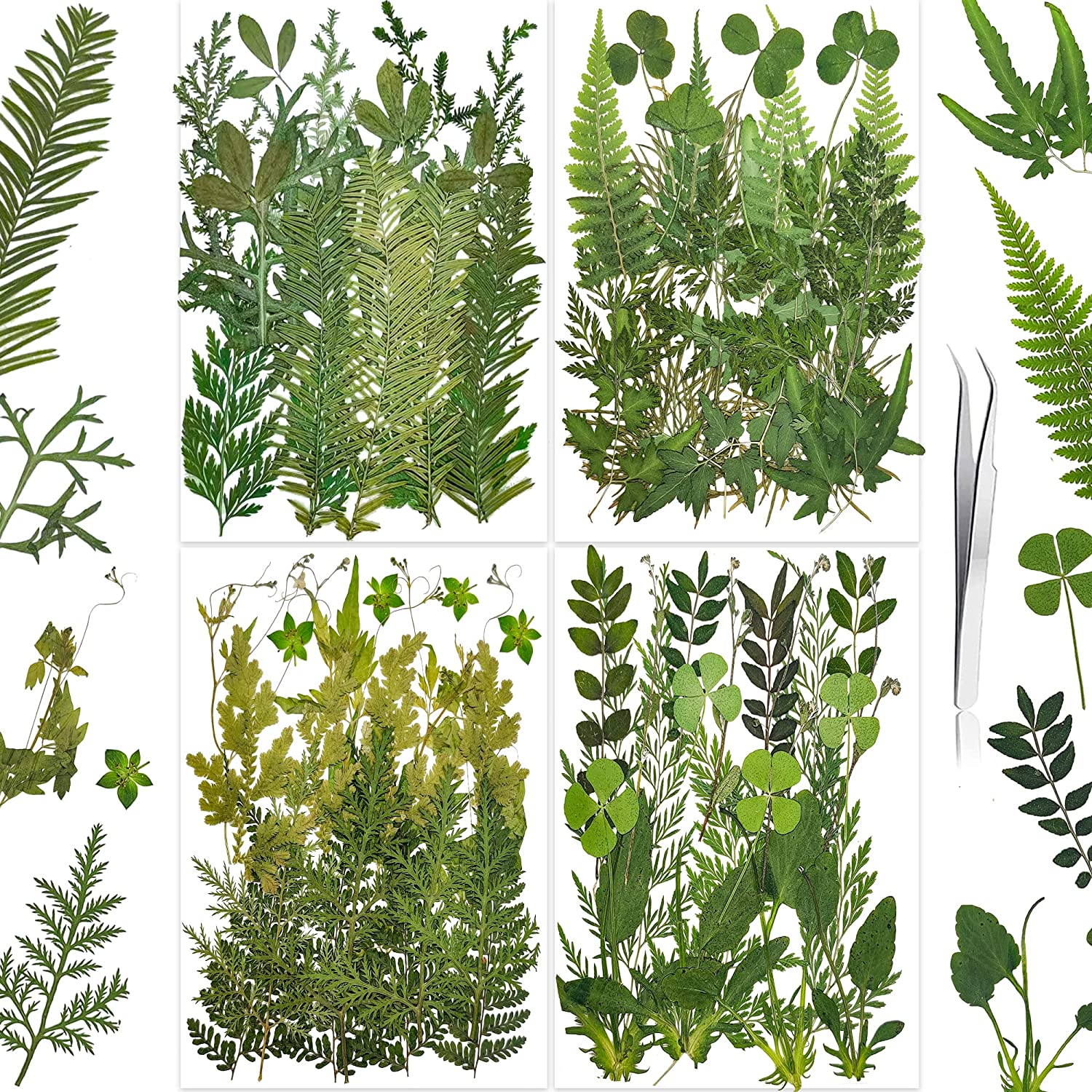 dried_flower - preserved_flower - fake_flower - 37Pcs 18Types Dried Pressed Flowers for Resin Molds YouthBro Real Natural - Molly Garden - Molly_Garden_Floral
