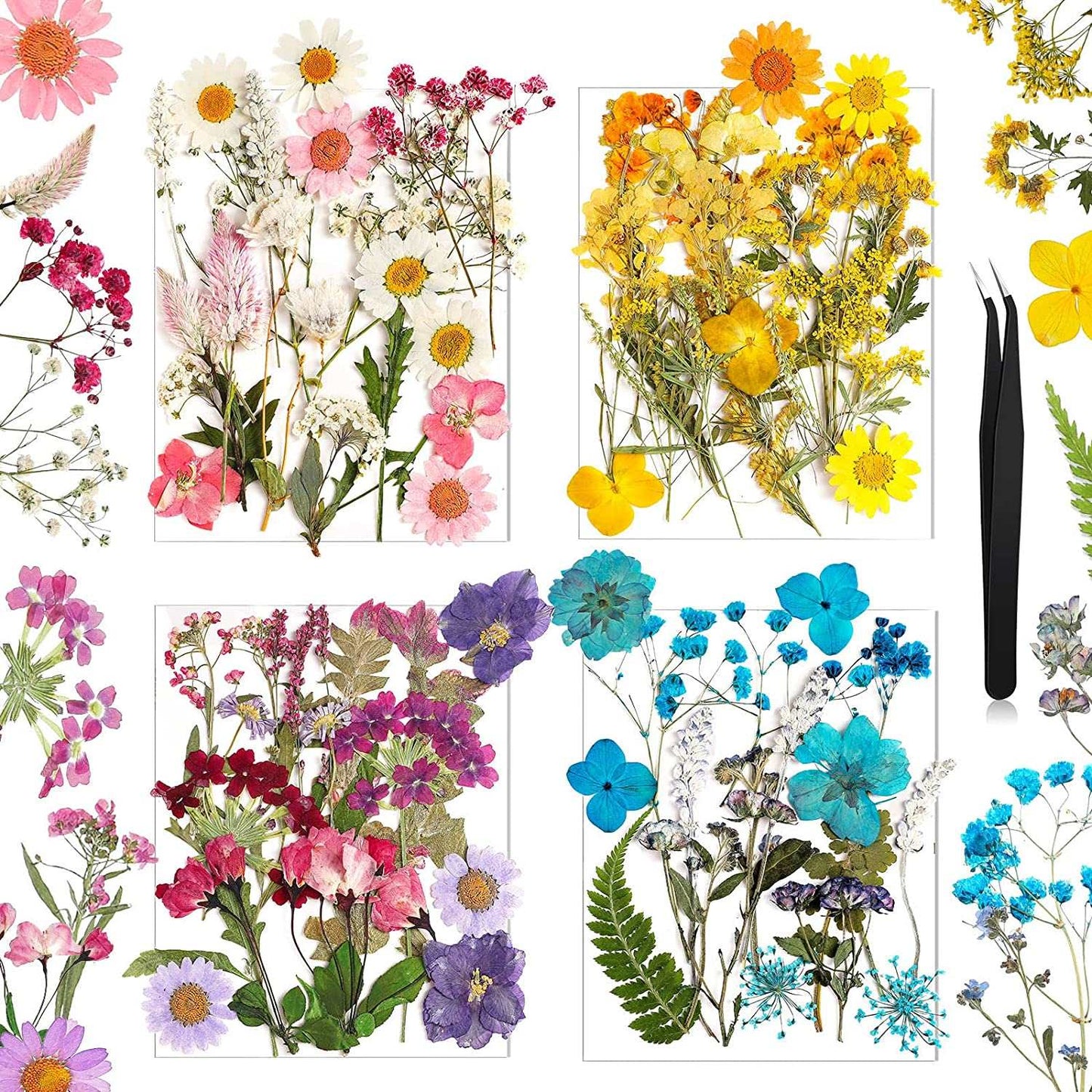 dried_flower - preserved_flower - fake_flower - Pressed Flowers Resin for Resin Mold Real Natural Daisy Dried Leaves - Molly Garden - Molly_Garden_Floral