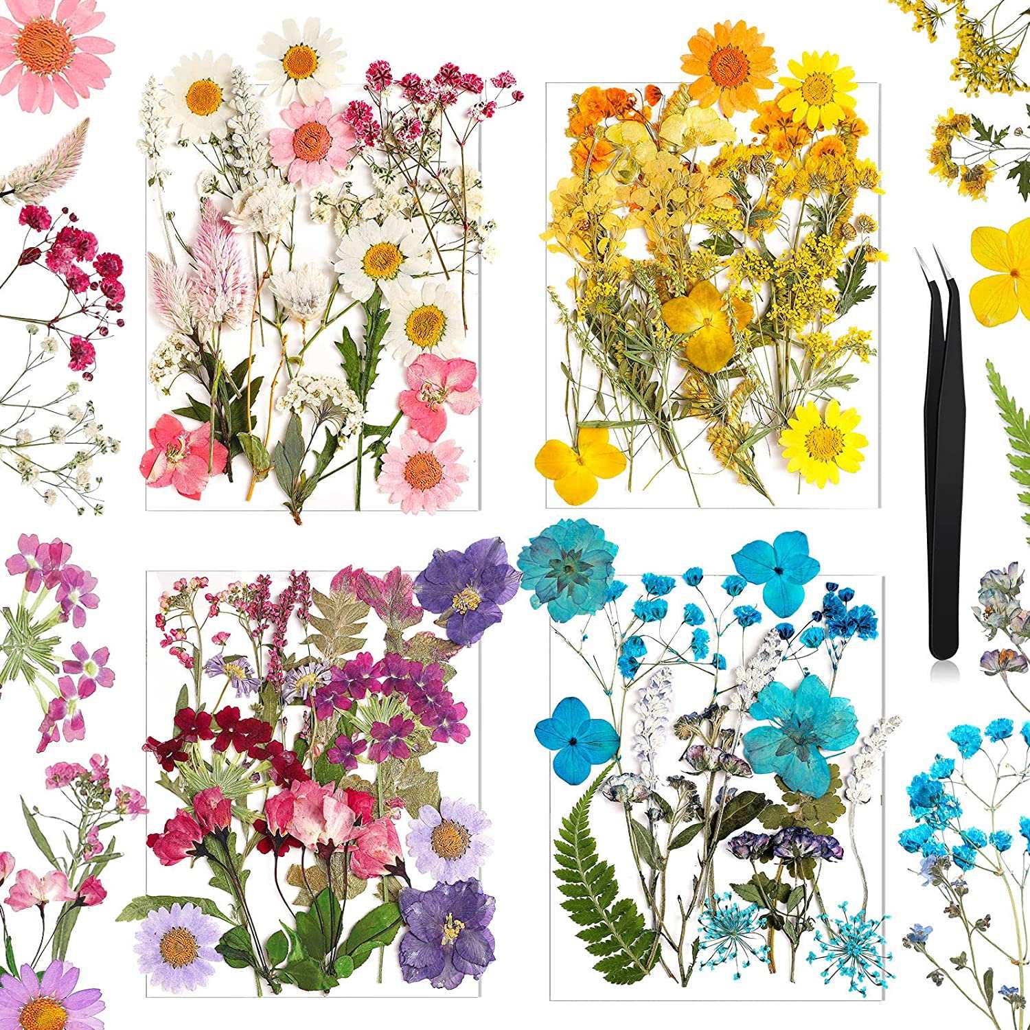 dried_flower - preserved_flower - fake_flower - Pressed Flowers Resin for Resin Mold Real Natural Daisy Dried Leaves - Molly Garden - Molly_Garden_Floral