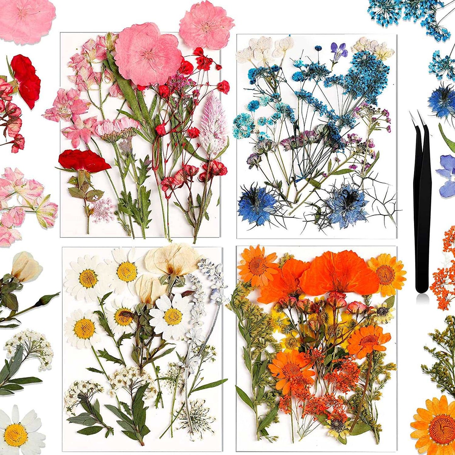 dried_flower - preserved_flower - fake_flower - Pressed Flowers Resin for Resin Mold Real Natural Daisy Dried Leaves - Molly Garden - Molly_Garden_Floral