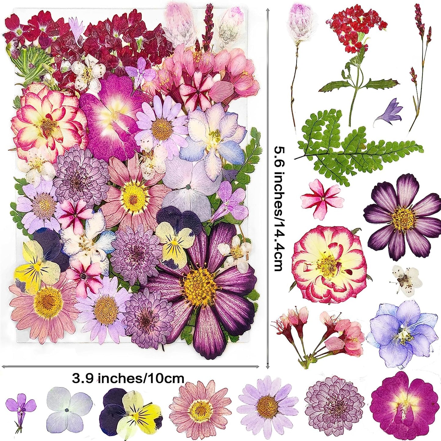 dried_flower - preserved_flower - fake_flower - 37Pcs 18Types Dried Pressed Flowers for Resin Molds YouthBro Real Natural - Molly Garden - Molly_Garden_Floral
