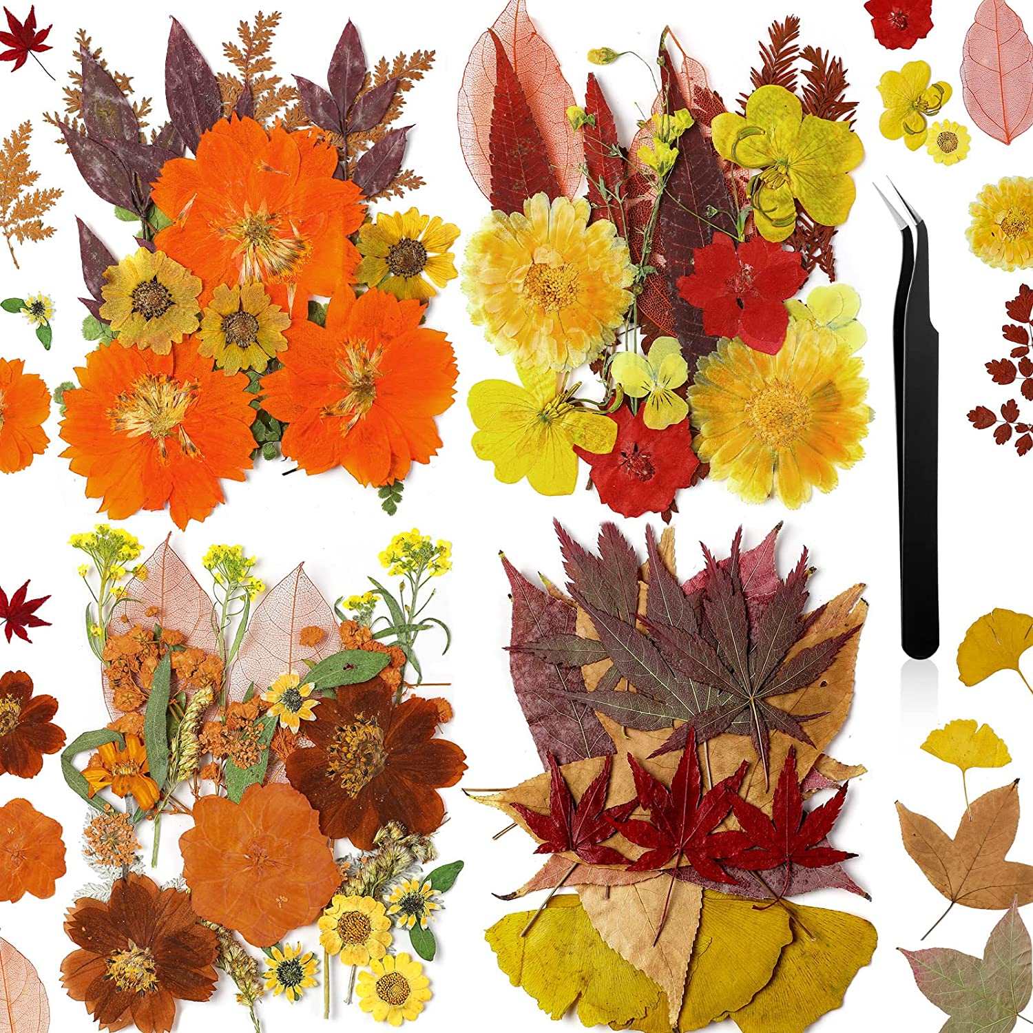 dried_flower - preserved_flower - fake_flower - Pressed Flowers Resin for Resin Mold Real Natural Daisy Dried Leaves - Molly Garden - Molly_Garden_Floral