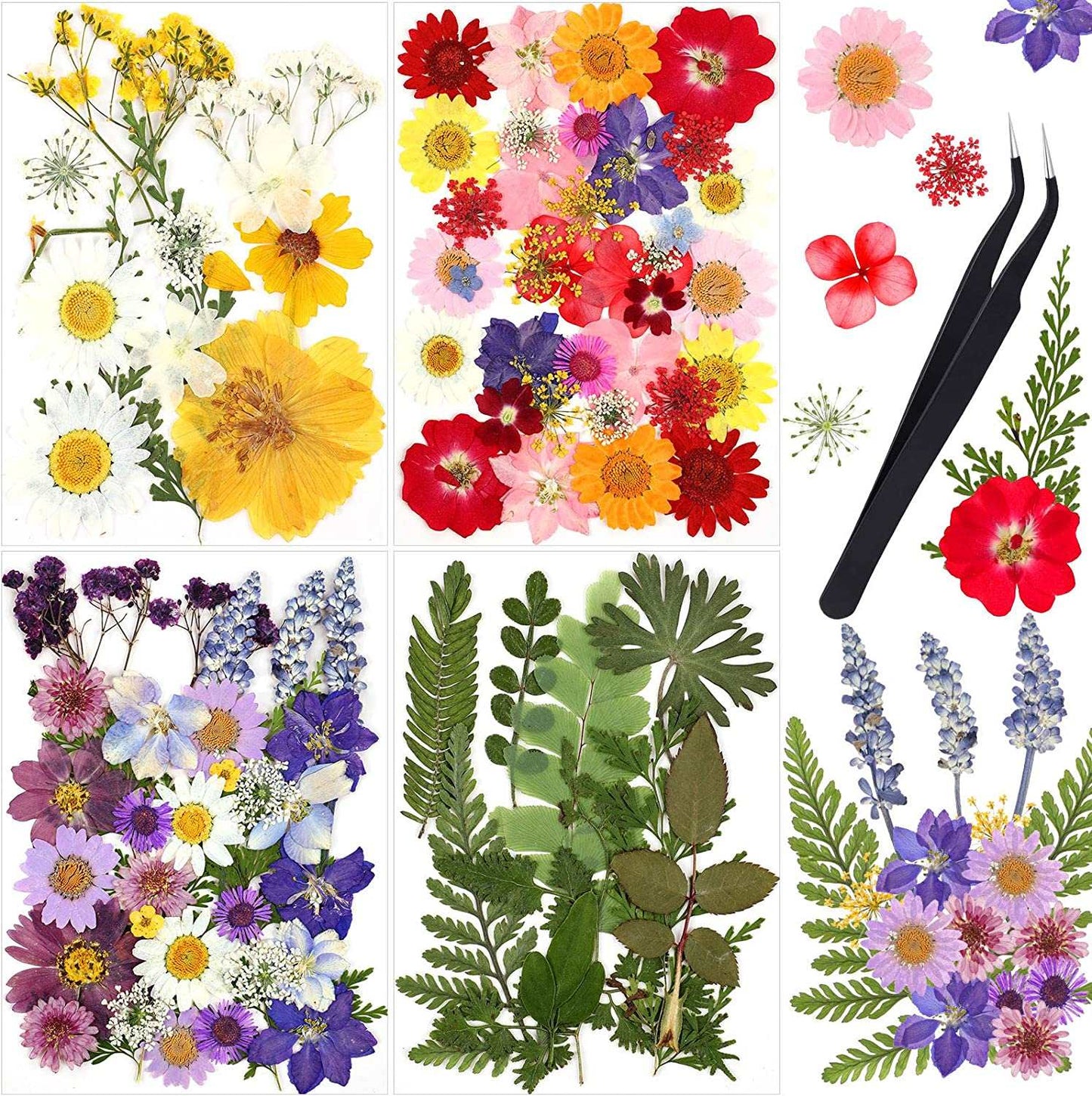 dried_flower - preserved_flower - fake_flower - Pressed Flowers Resin for Resin Mold Real Natural Daisy Dried Leaves - Molly Garden - Molly_Garden_Floral