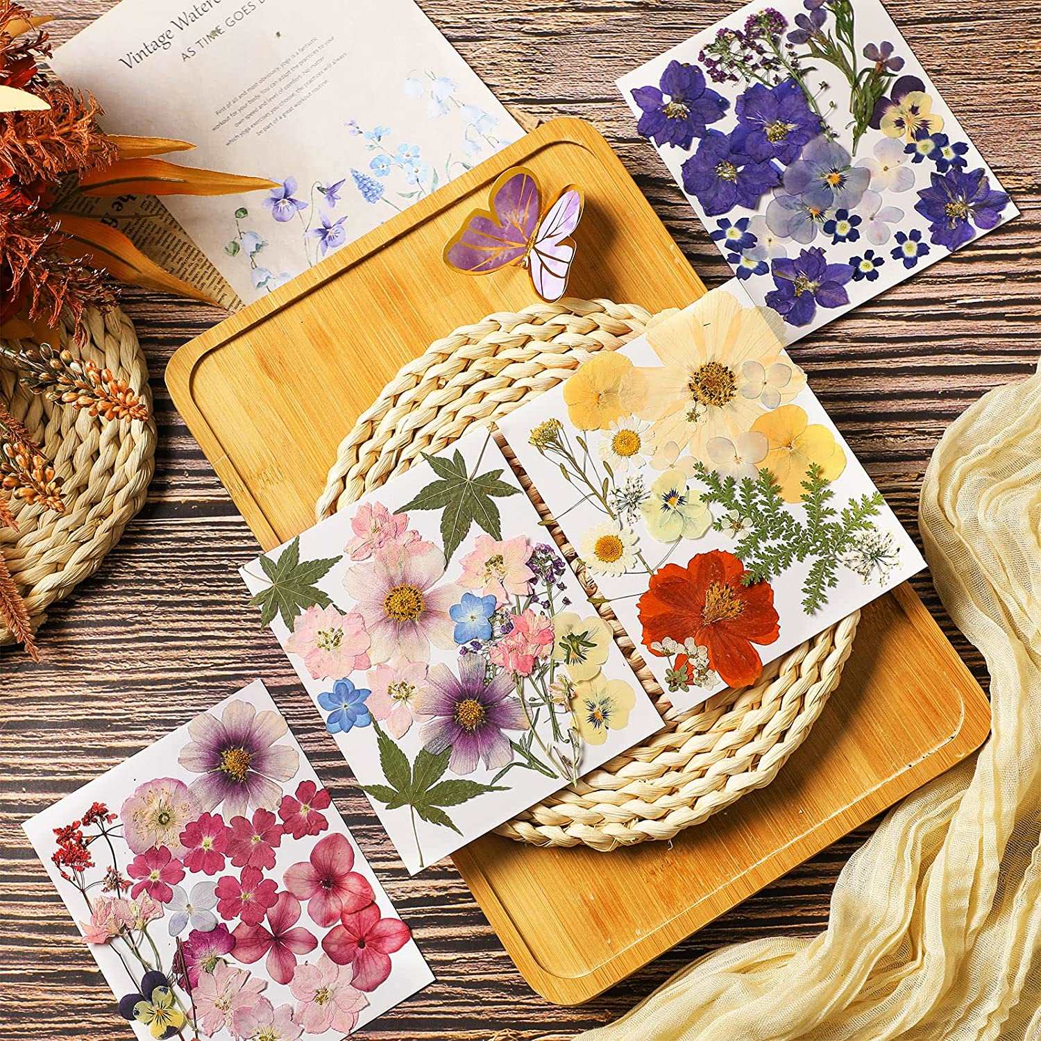 dried_flower - preserved_flower - fake_flower - Pressed Flowers Resin for Resin Mold Real Natural Daisy Dried Leaves - Molly Garden - Molly_Garden_Floral