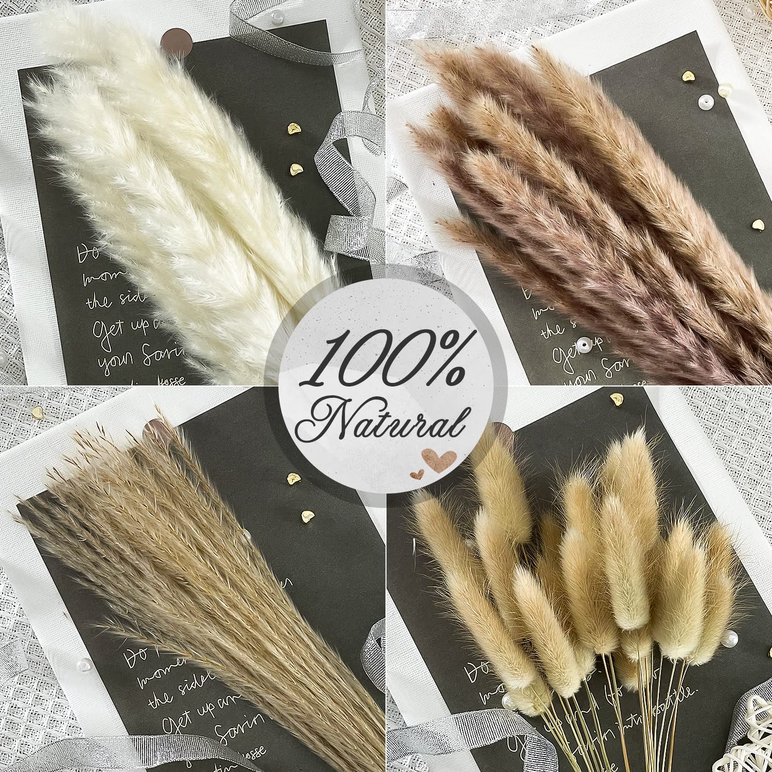 dried_flower - preserved_flower - fake_flower - 90Pcs 17.5Inch Natural Dried Pampas Grass Set White & Natural Grass Reed - Molly Garden - Molly_Garden_Floral