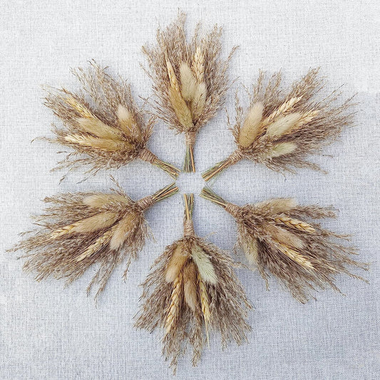 dried_flower - preserved_flower - fake_flower - Mini Dried Flower Bouquet Set of 6 for Boho Floral Wedding Small Dry Craft - Molly Garden - Molly_Garden_Floral