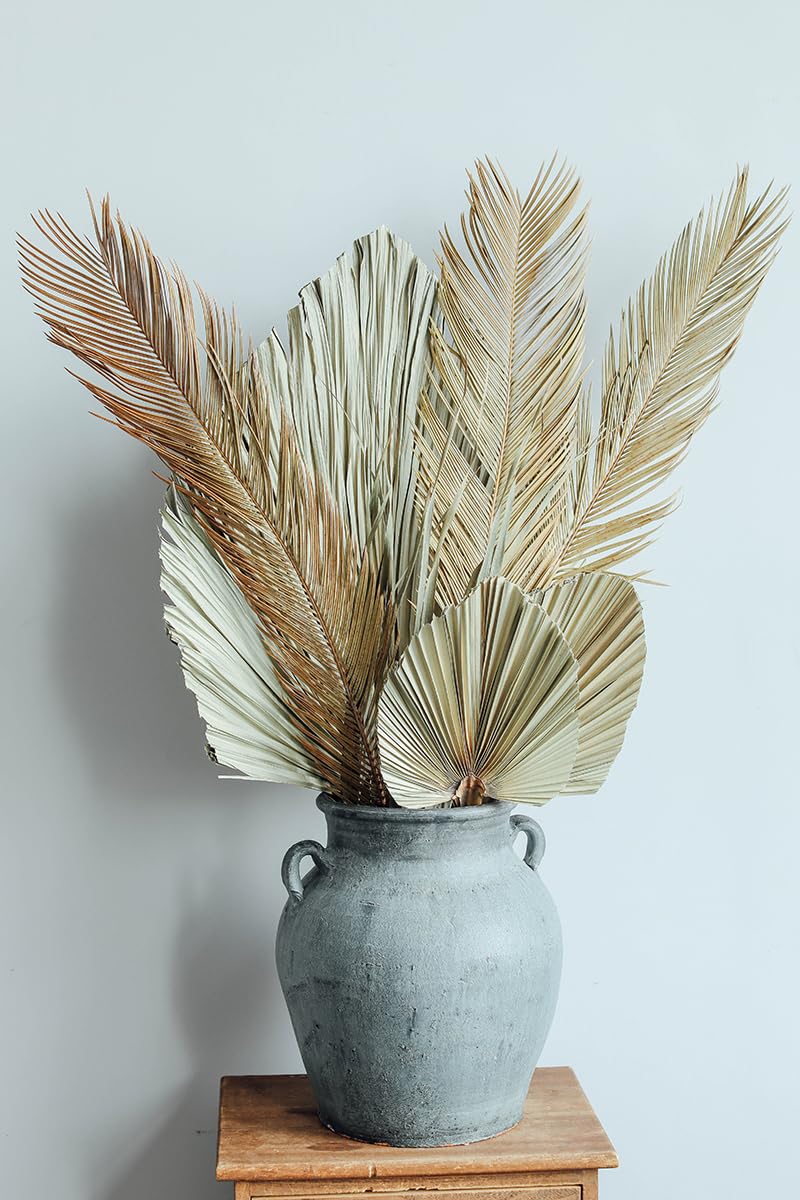 dried_flower - preserved_flower - fake_flower - 6Pcs 33in Boho Dry Sago Palm Leaf, Cycas Revoluta Stem Large Dried Leaves - Molly Garden - Molly_Garden_Floral