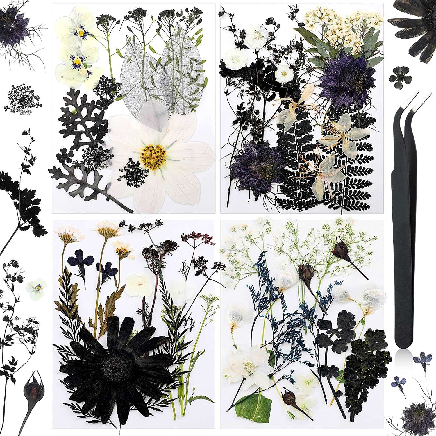 dried_flower - preserved_flower - fake_flower - Pressed Flowers Resin for Resin Mold Real Natural Daisy Dried Leaves - Molly Garden - Molly_Garden_Floral